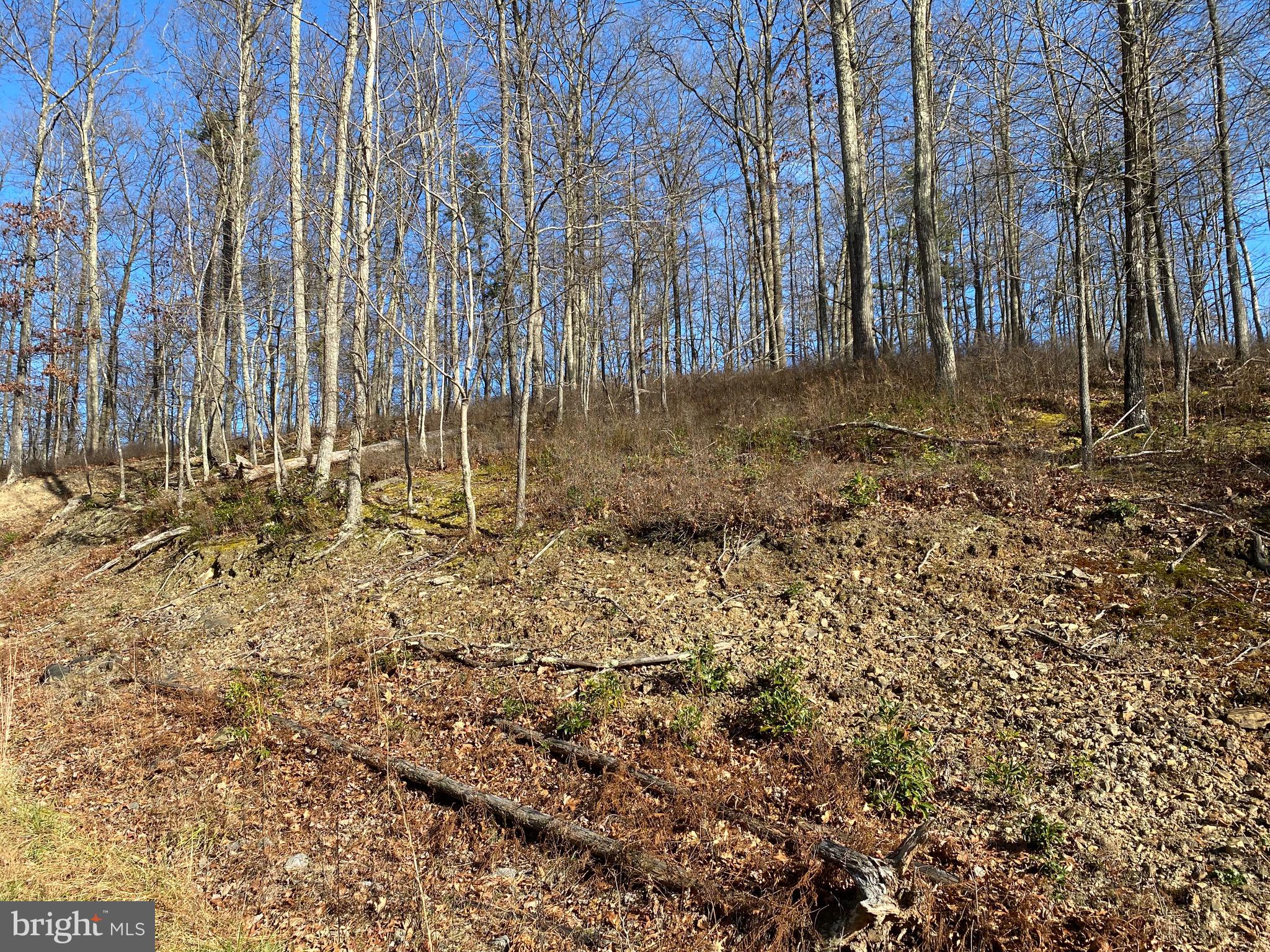 TROUT PASS PARK - Land