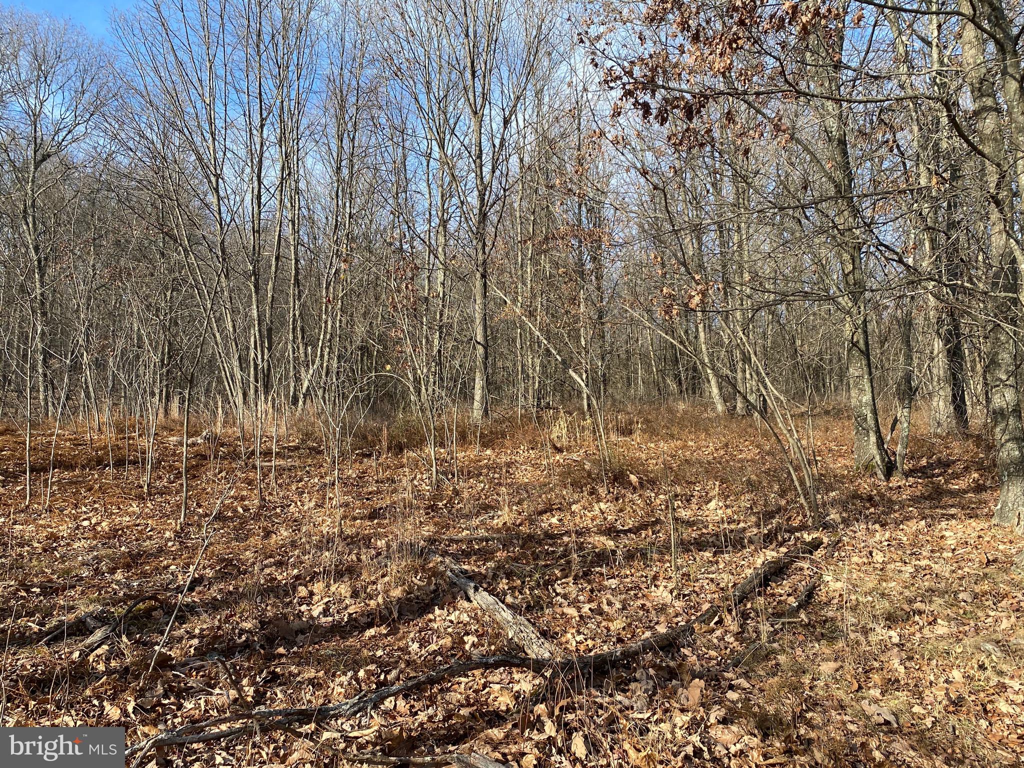 TROUT PASS PARK - Land