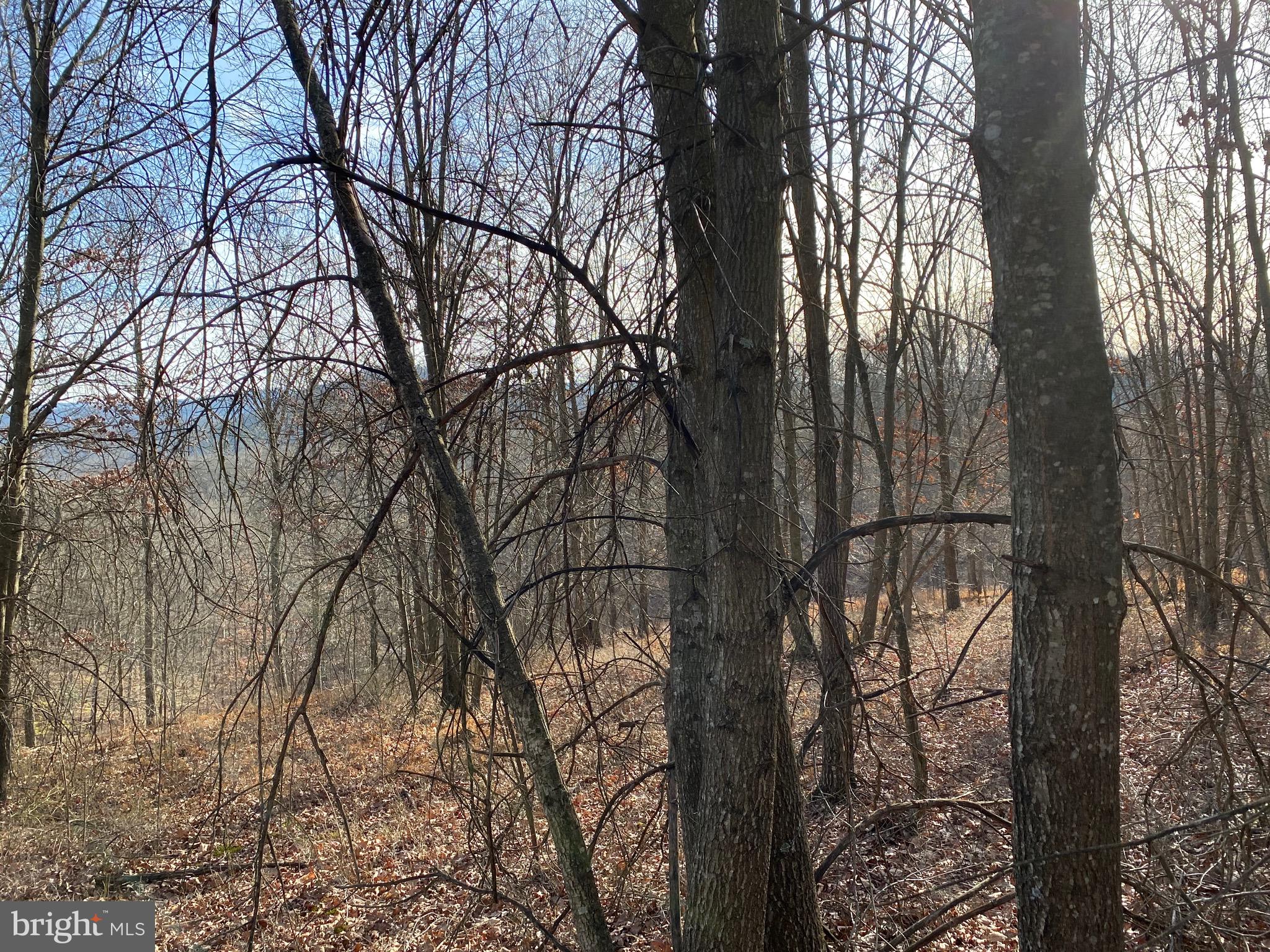 TROUT PASS PARK - Land