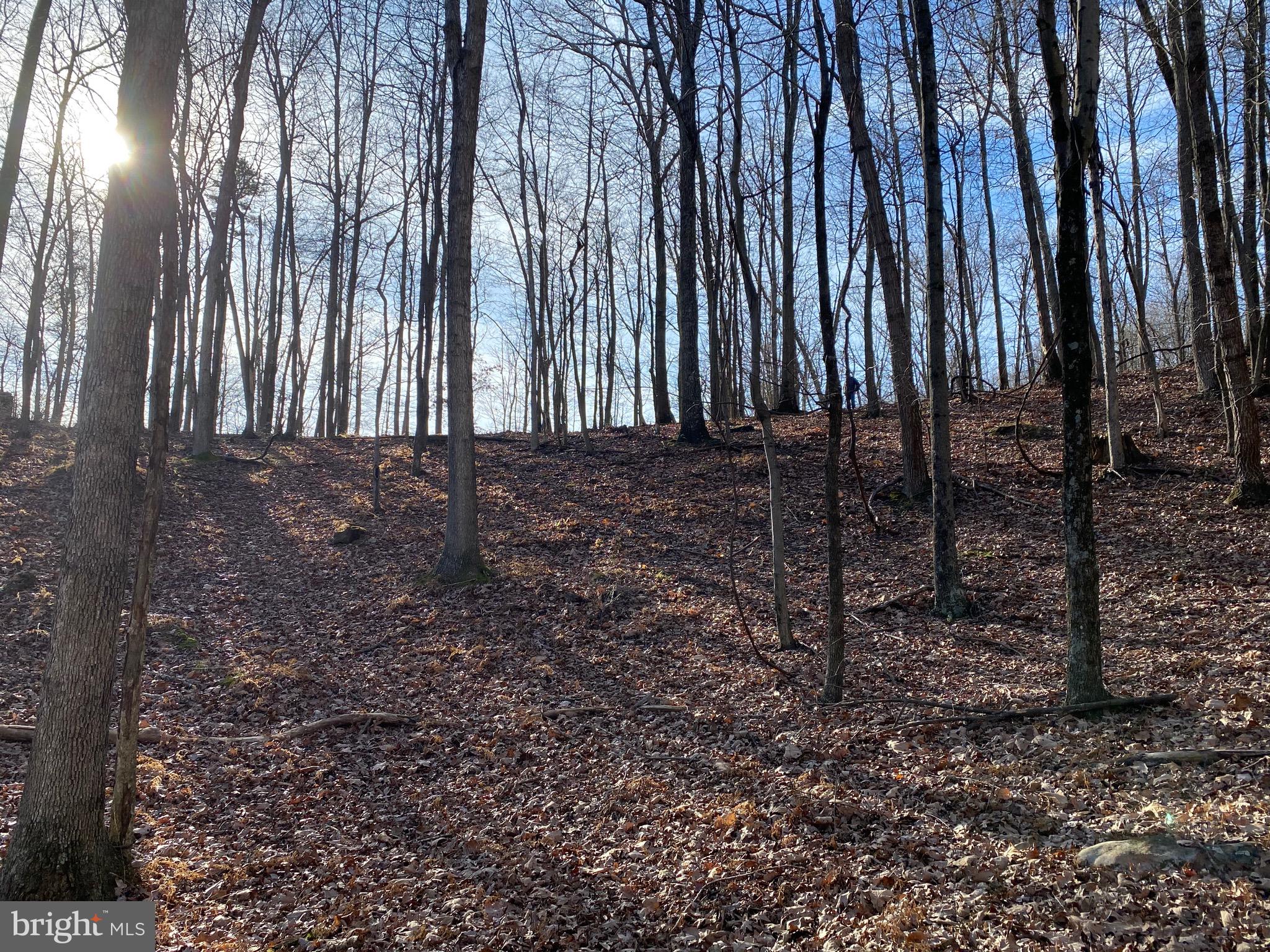TROUT PASS PARK - Land