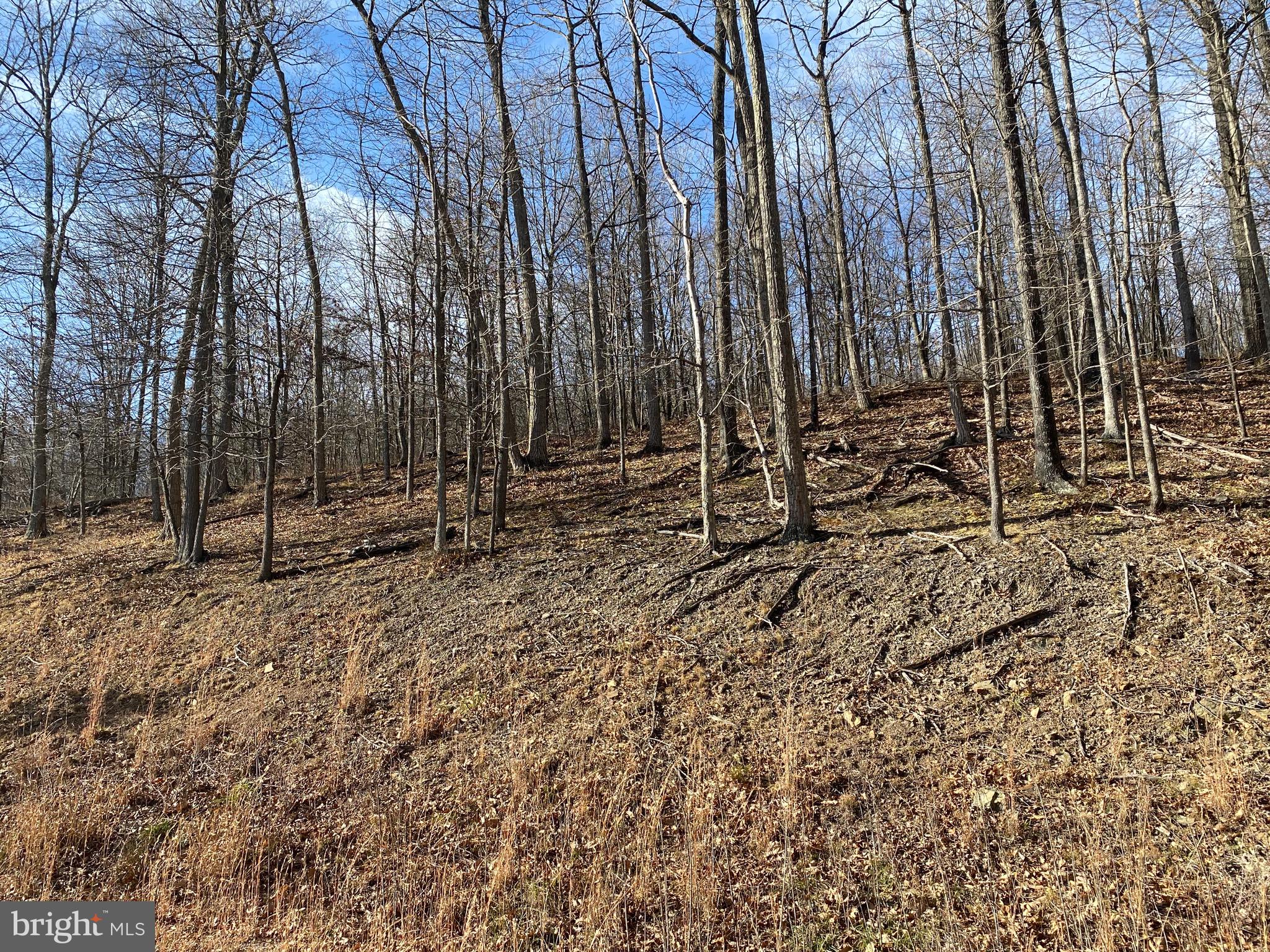 TROUT PASS PARK - Land