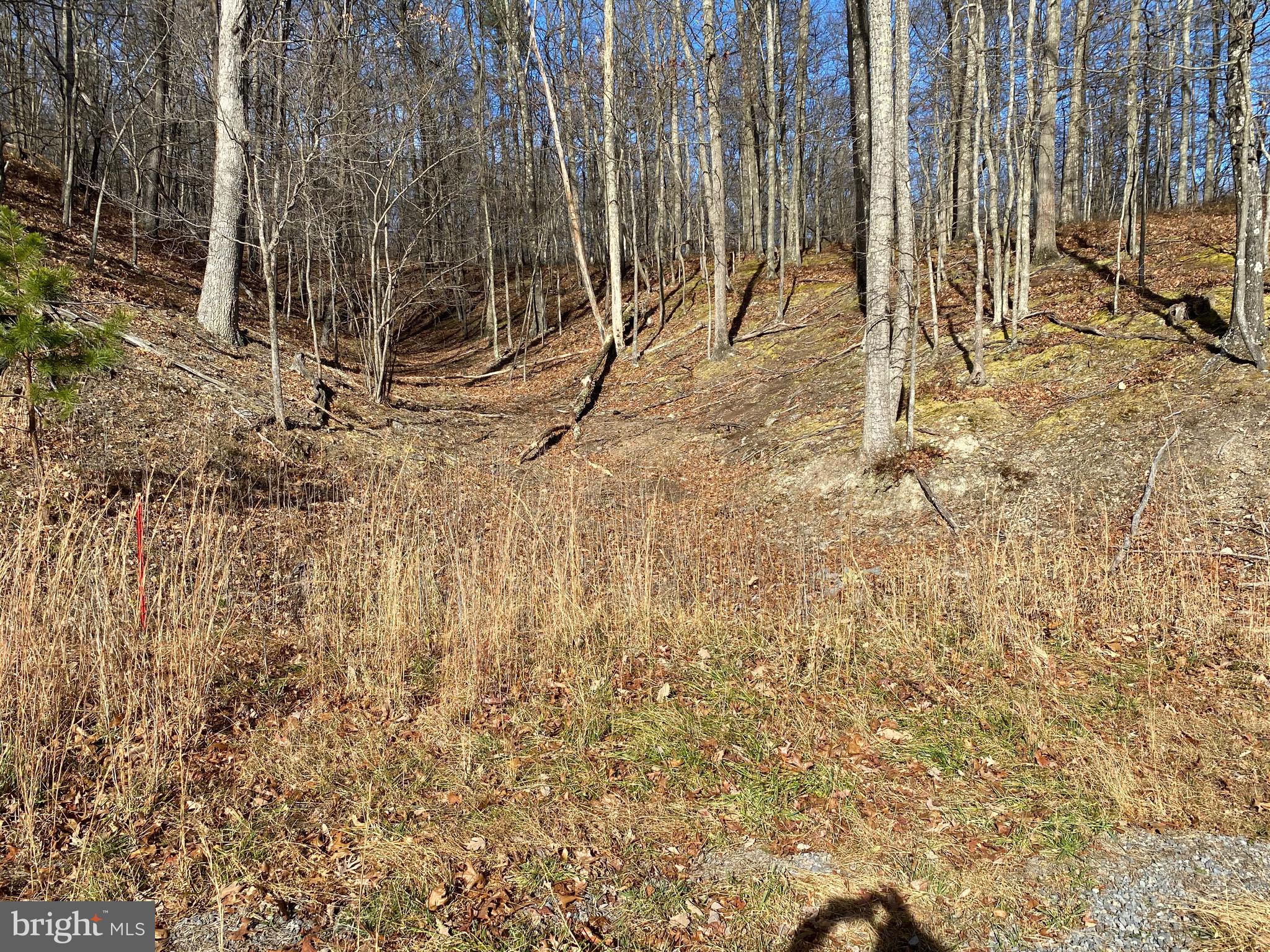 TROUT PASS PARK - Land