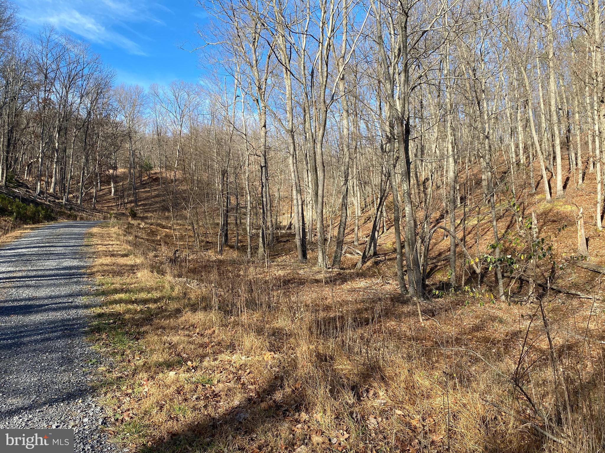 TROUT PASS PARK - Land