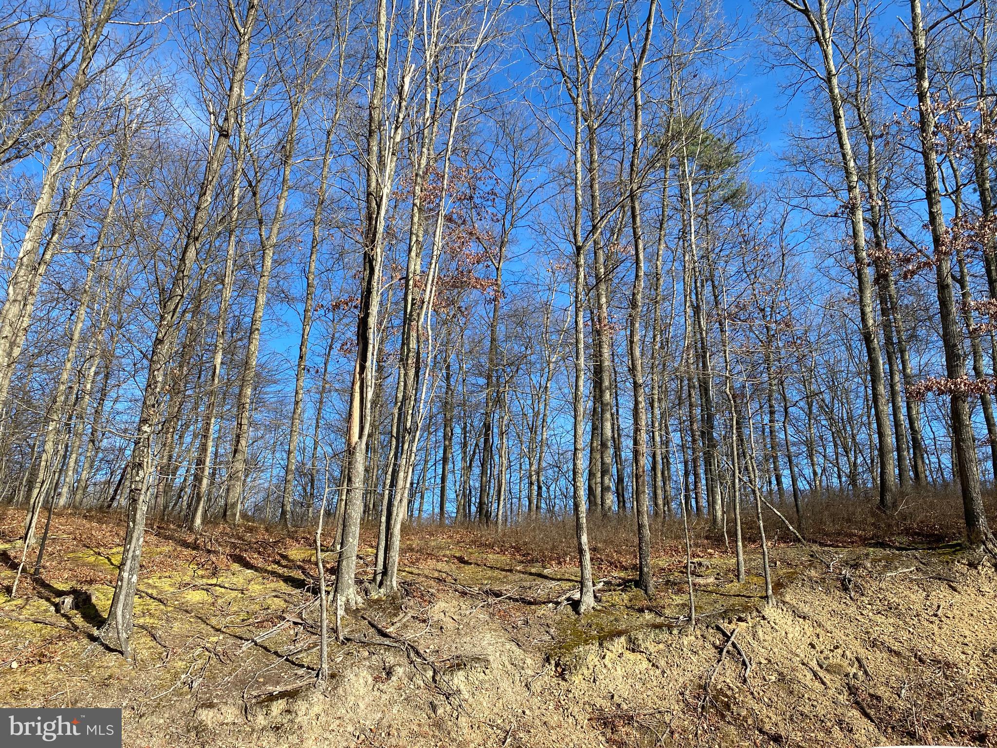 TROUT PASS PARK - Land