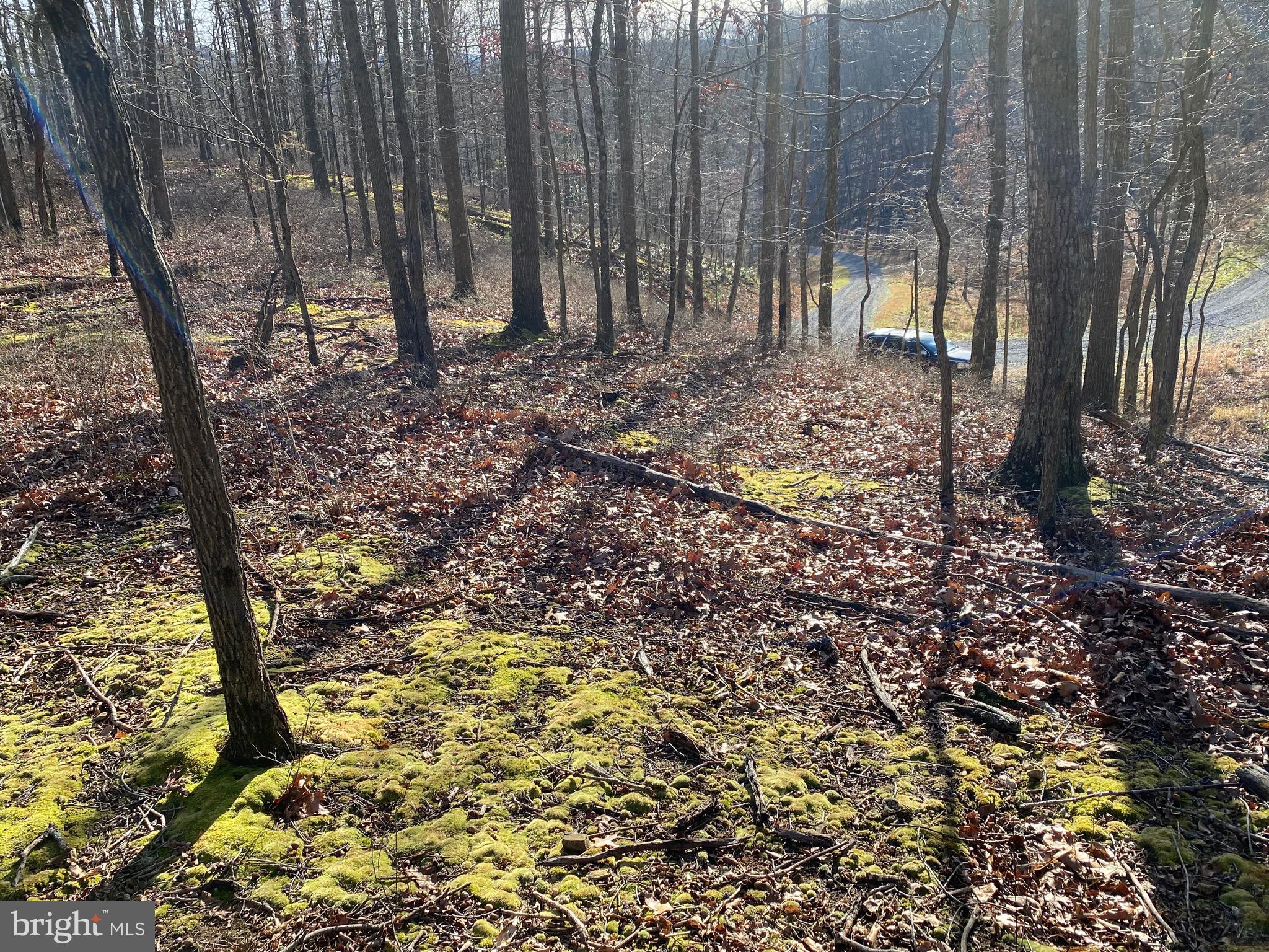 TROUT PASS PARK - Land