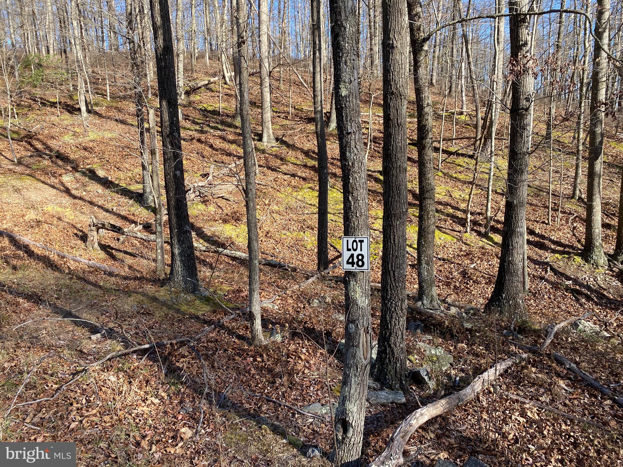 TROUT PASS PARK - Land