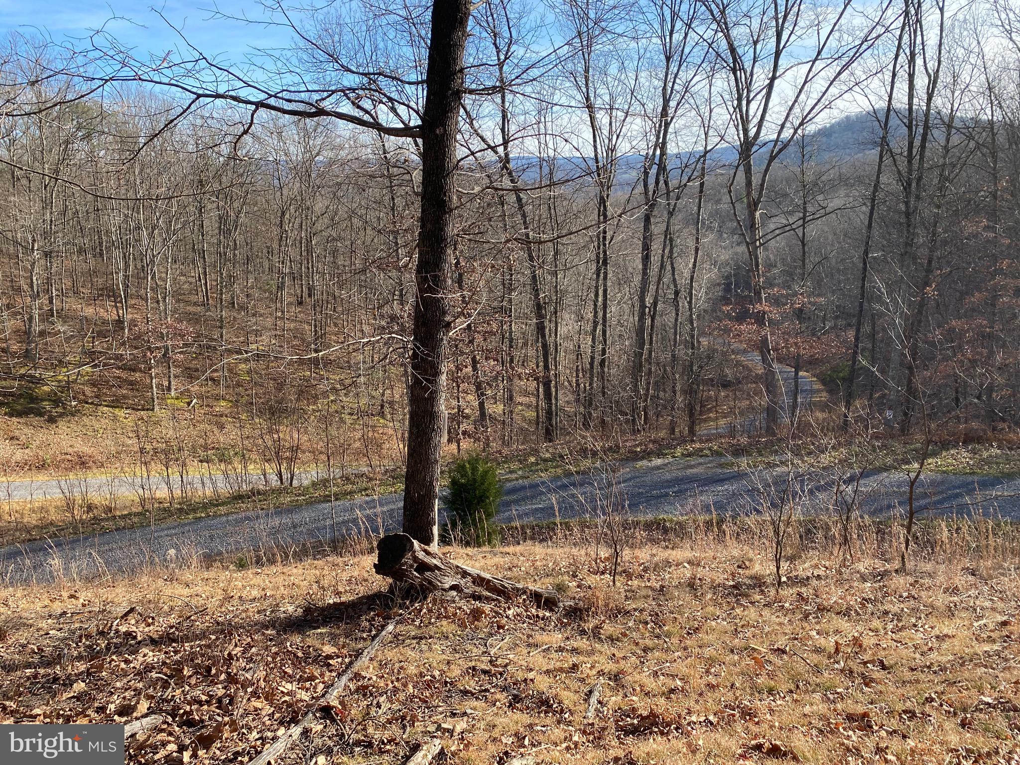 TROUT PASS PARK - Land