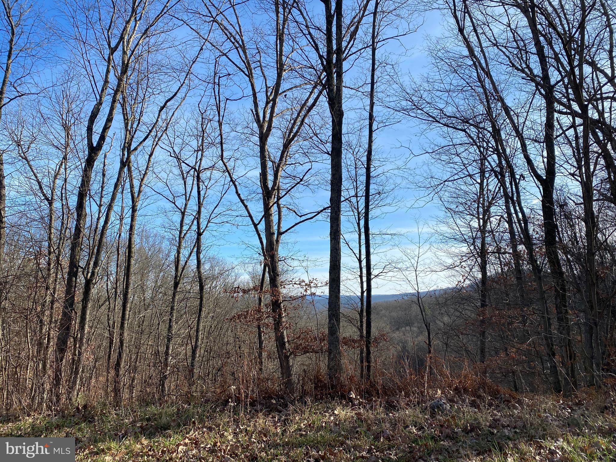 TROUT PASS PARK - Land