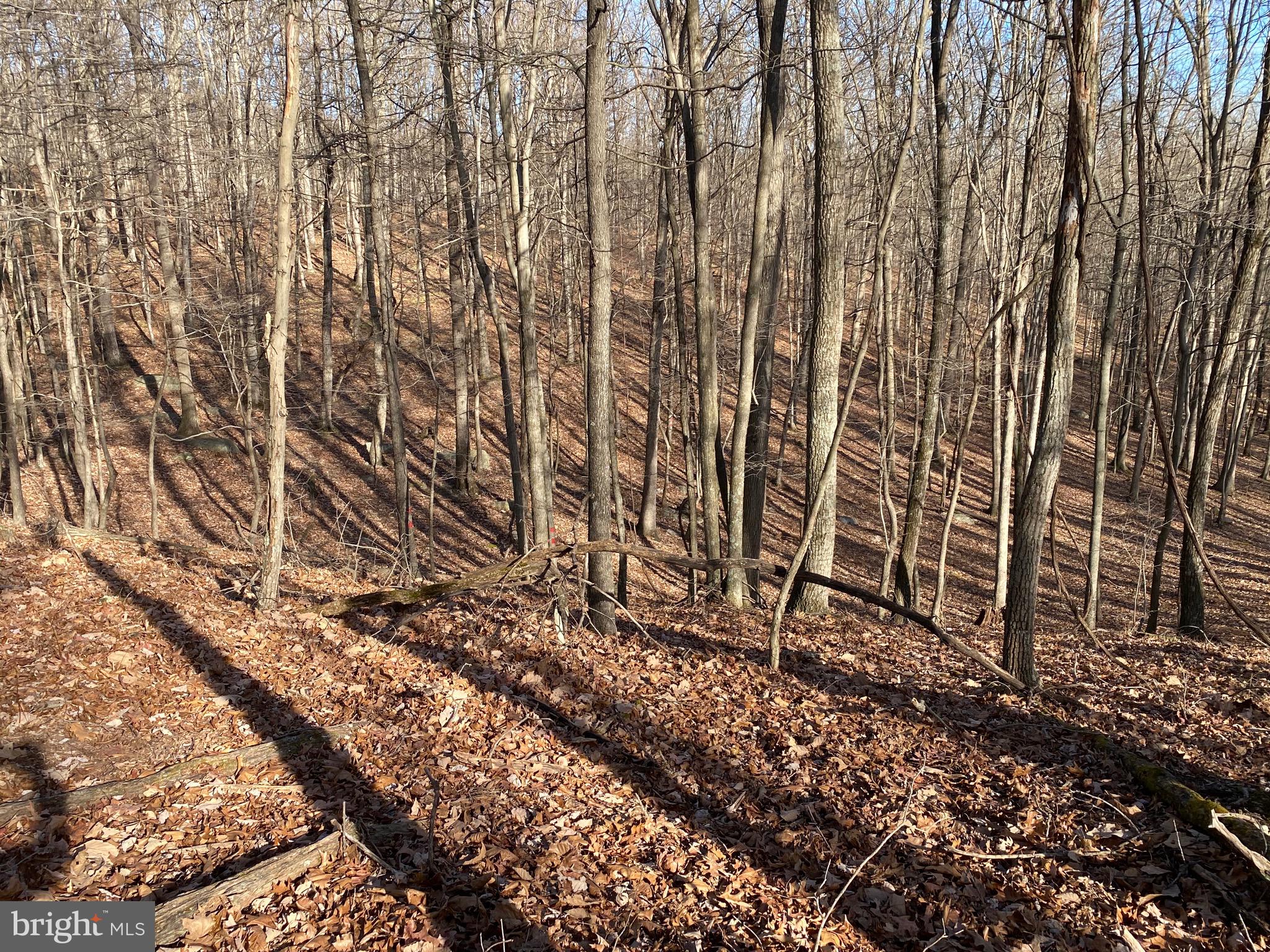 TROUT PASS PARK - Land