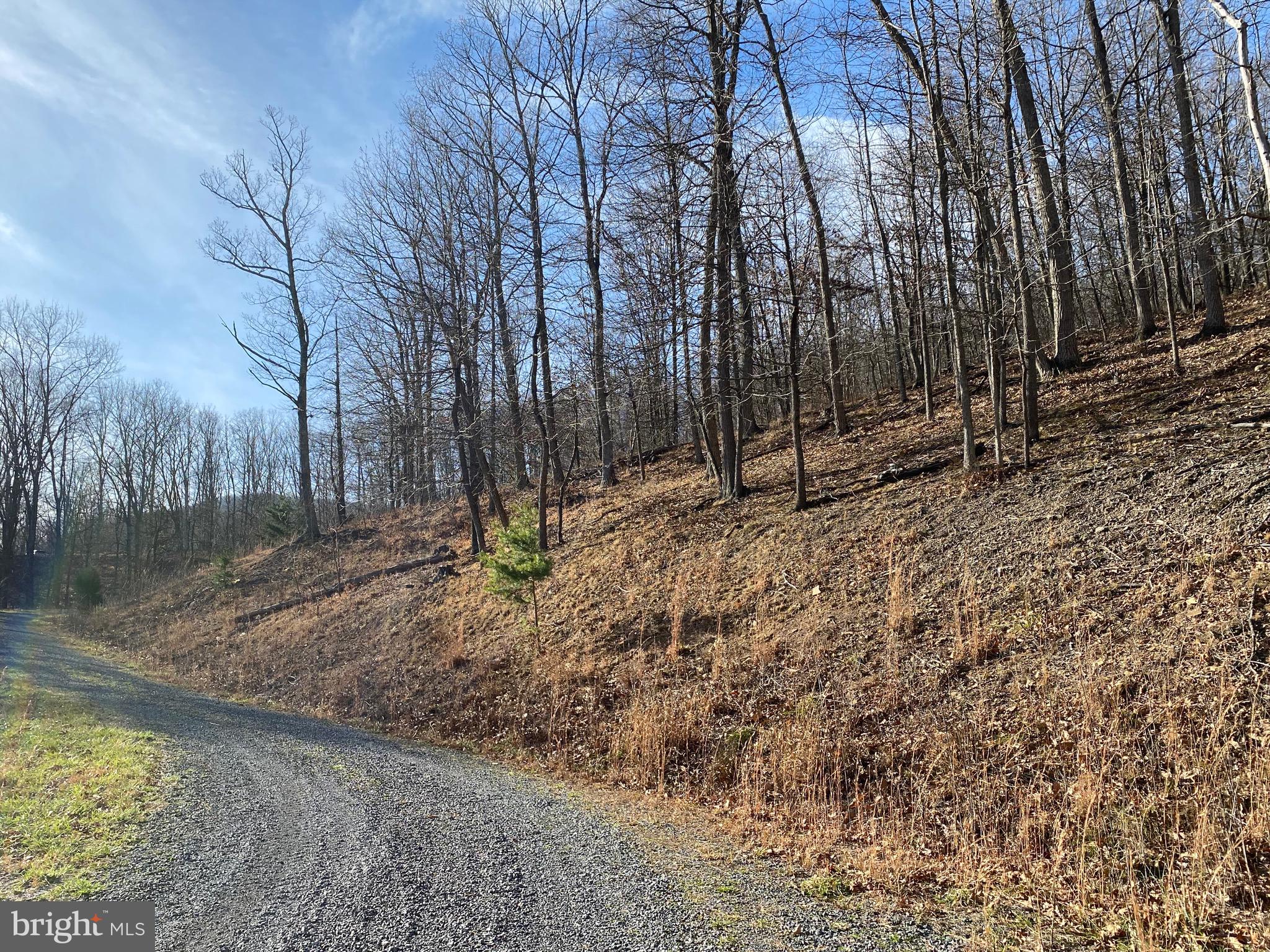 TROUT PASS PARK - Land