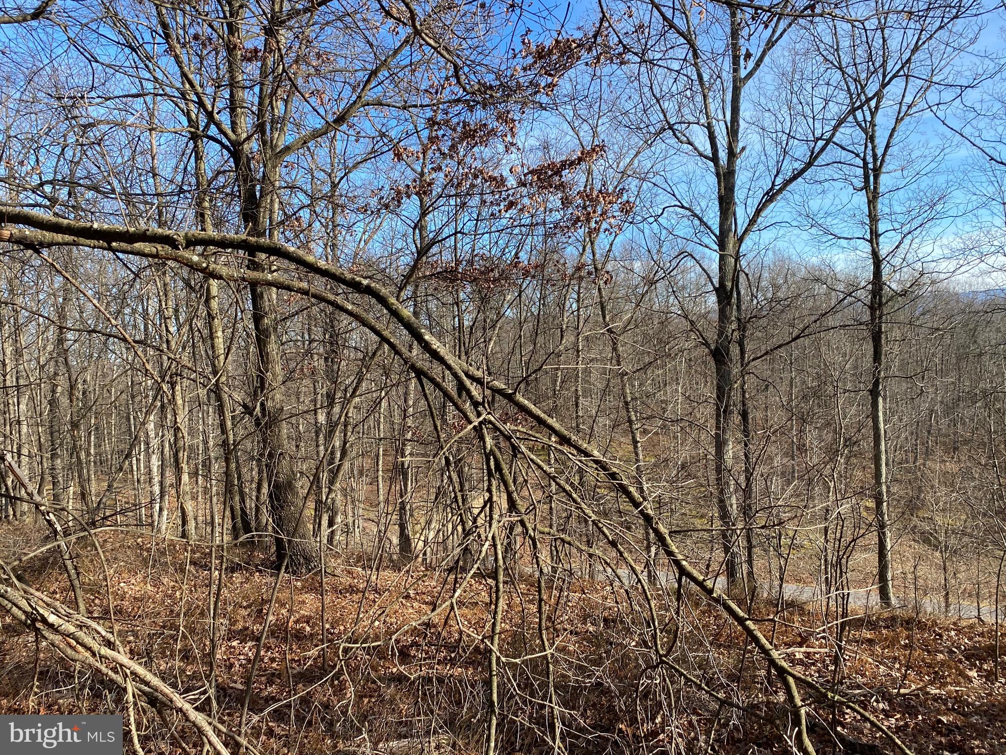 TROUT PASS PARK - Land