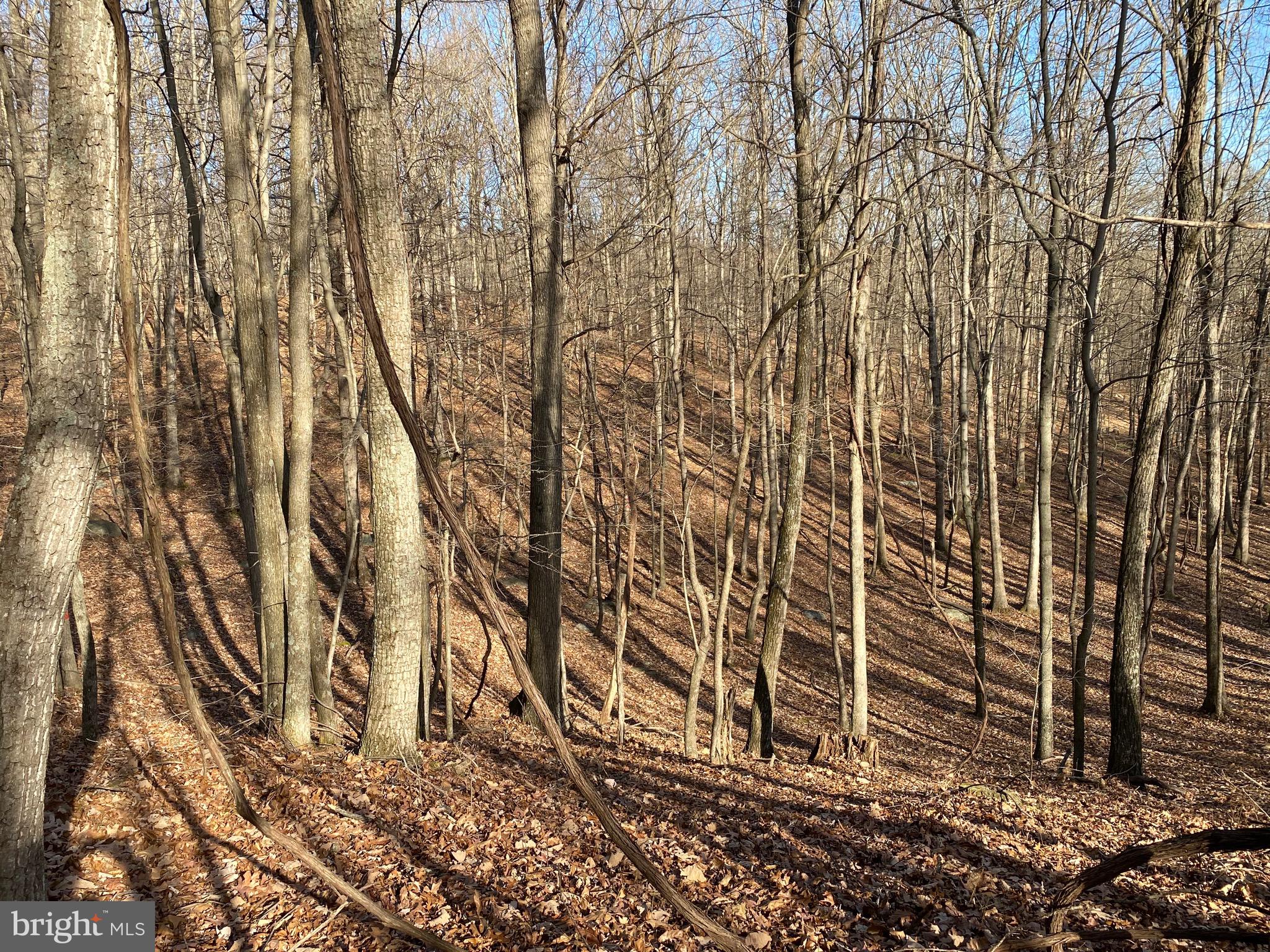 TROUT PASS PARK - Land