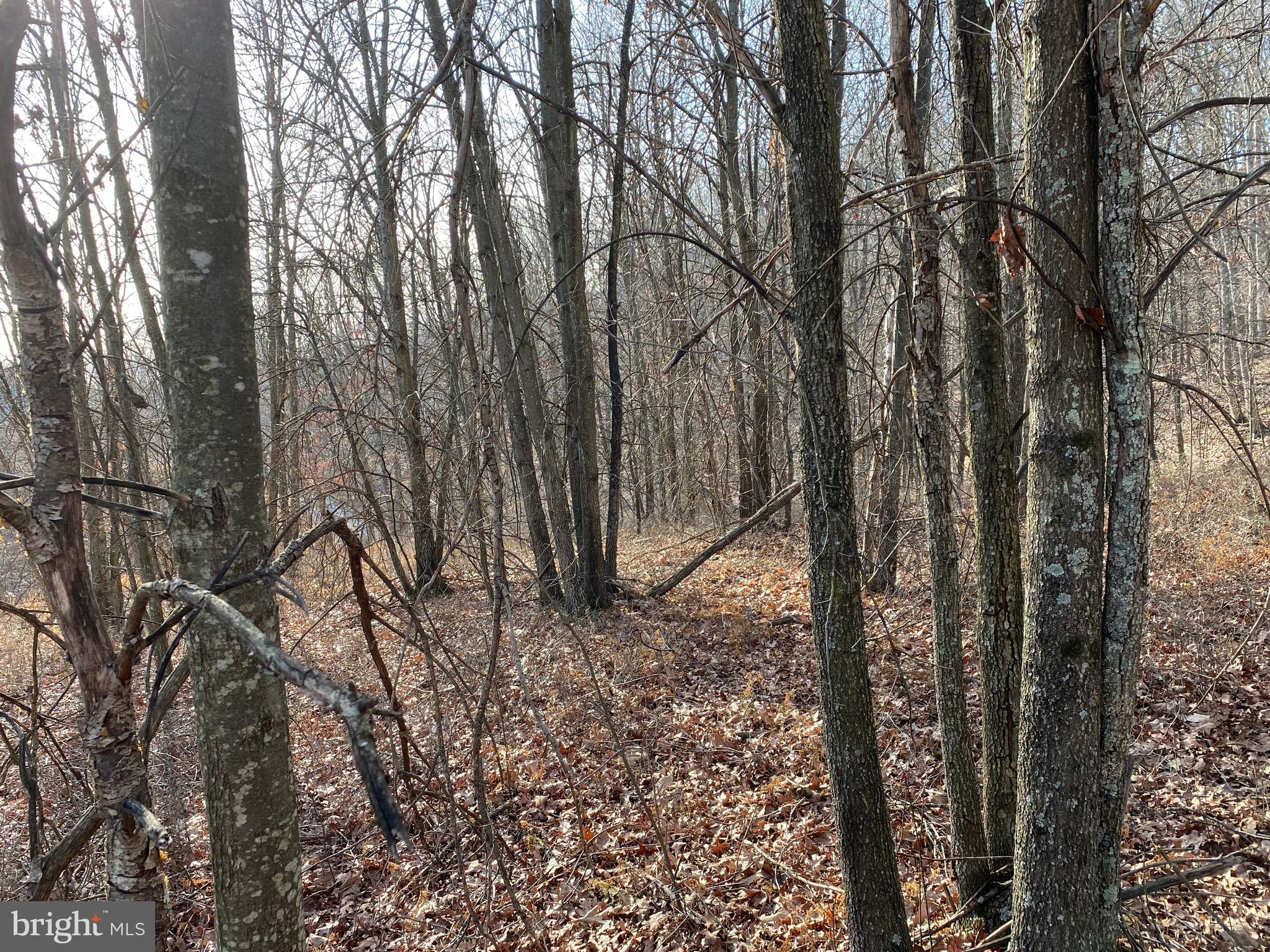 TROUT PASS PARK - Land