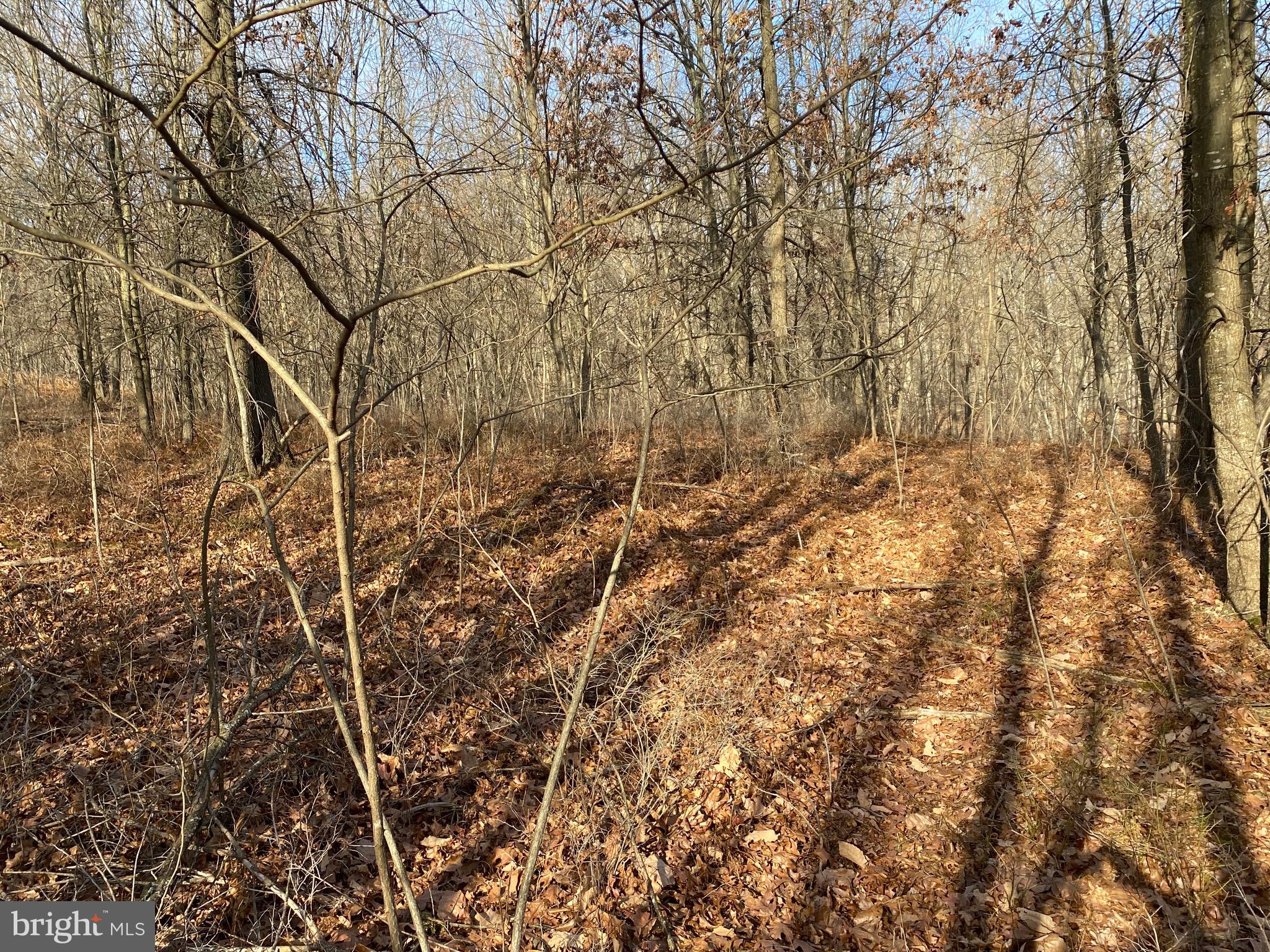 TROUT PASS PARK - Land