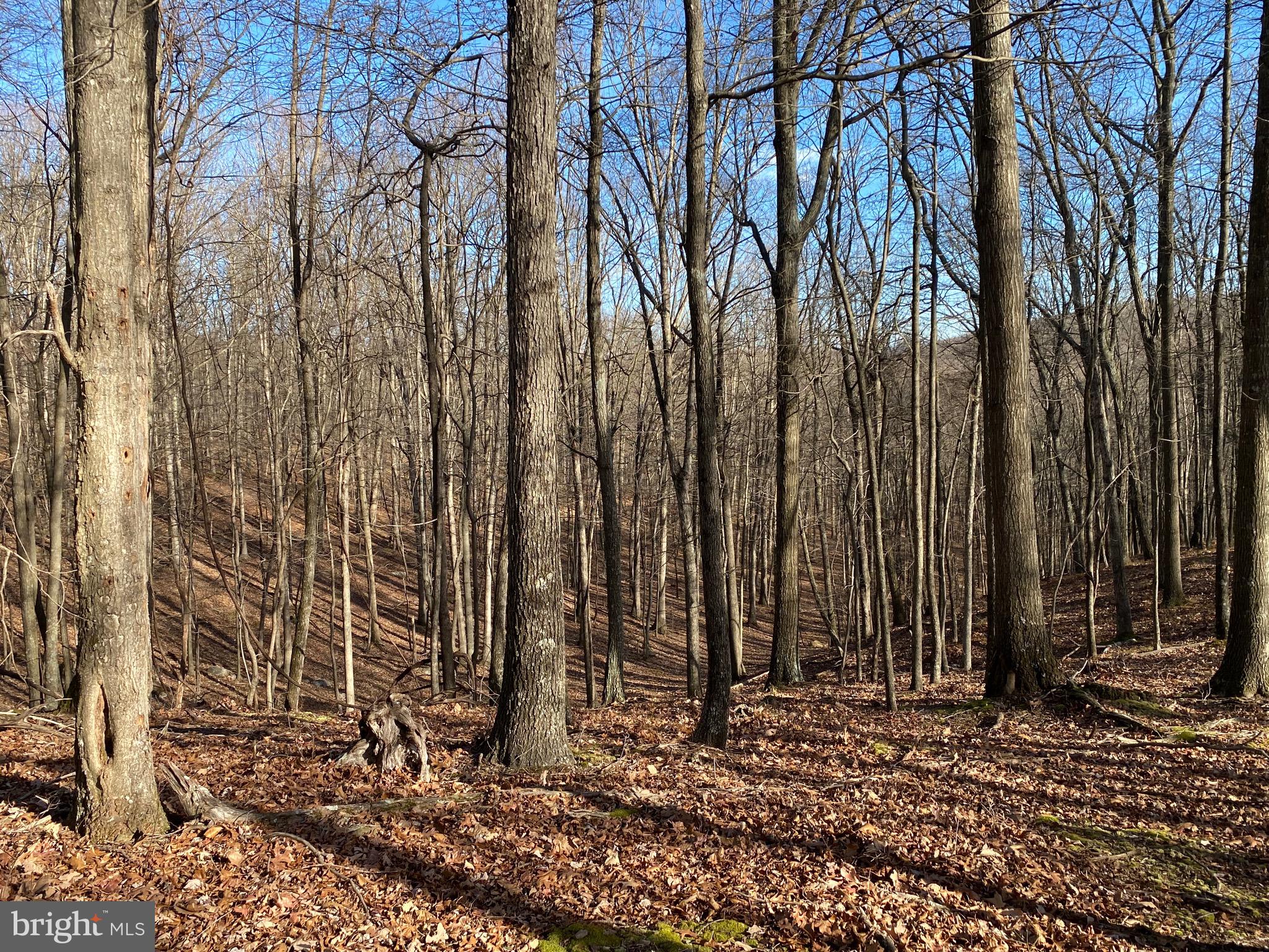 TROUT PASS PARK - Land