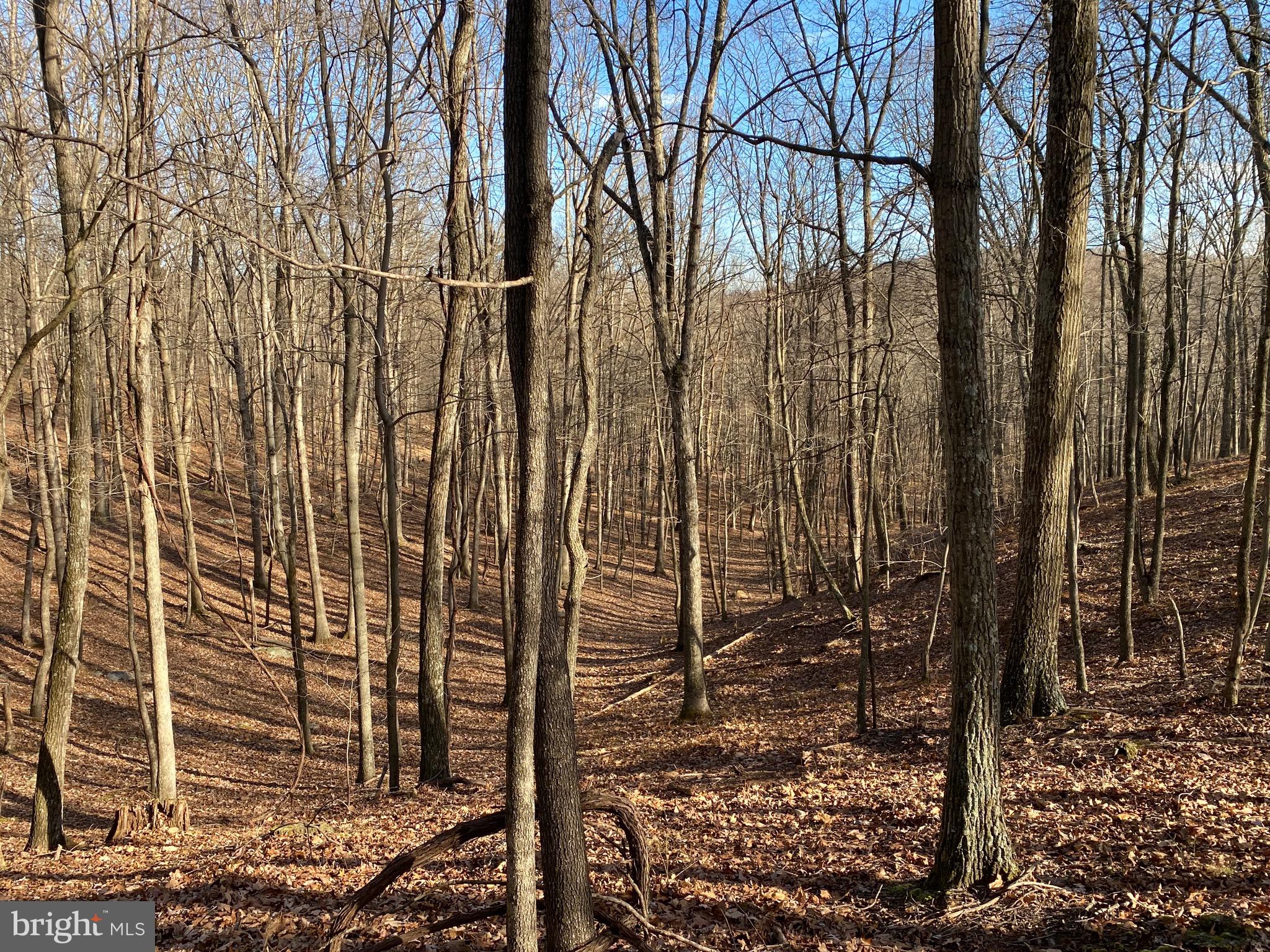 TROUT PASS PARK - Land