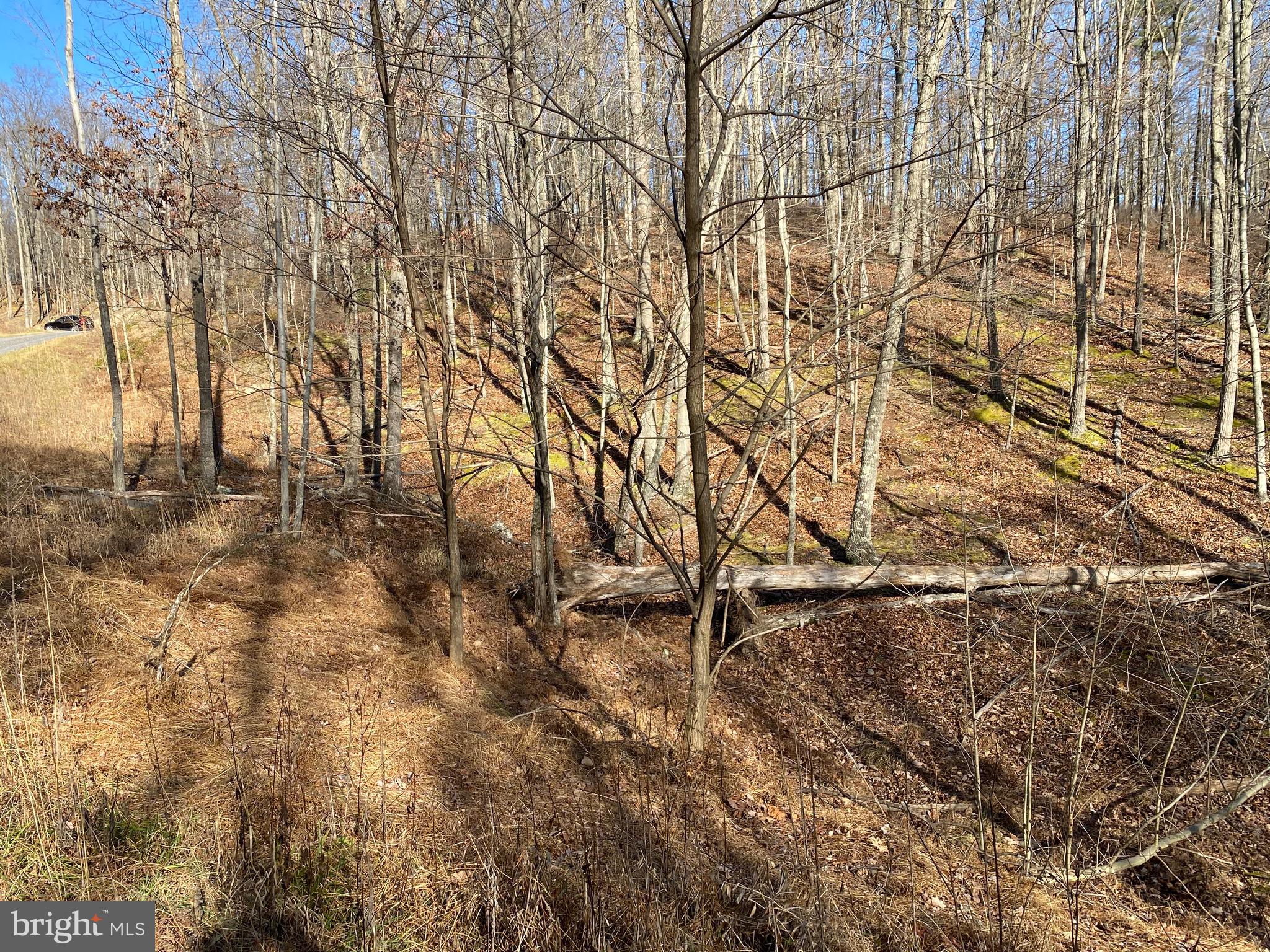 TROUT PASS PARK - Land