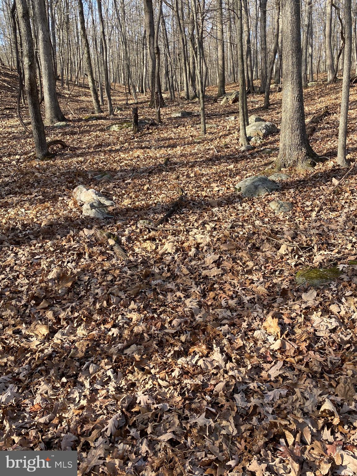 TROUT PASS PARK - Land