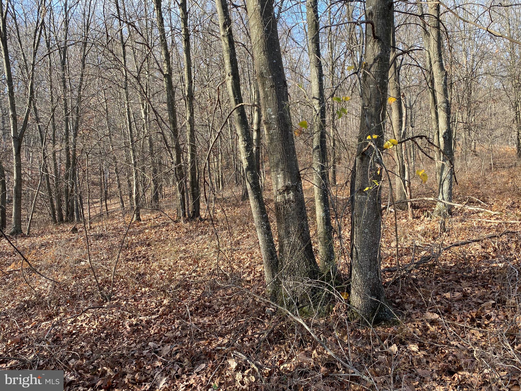 TROUT PASS PARK - Land