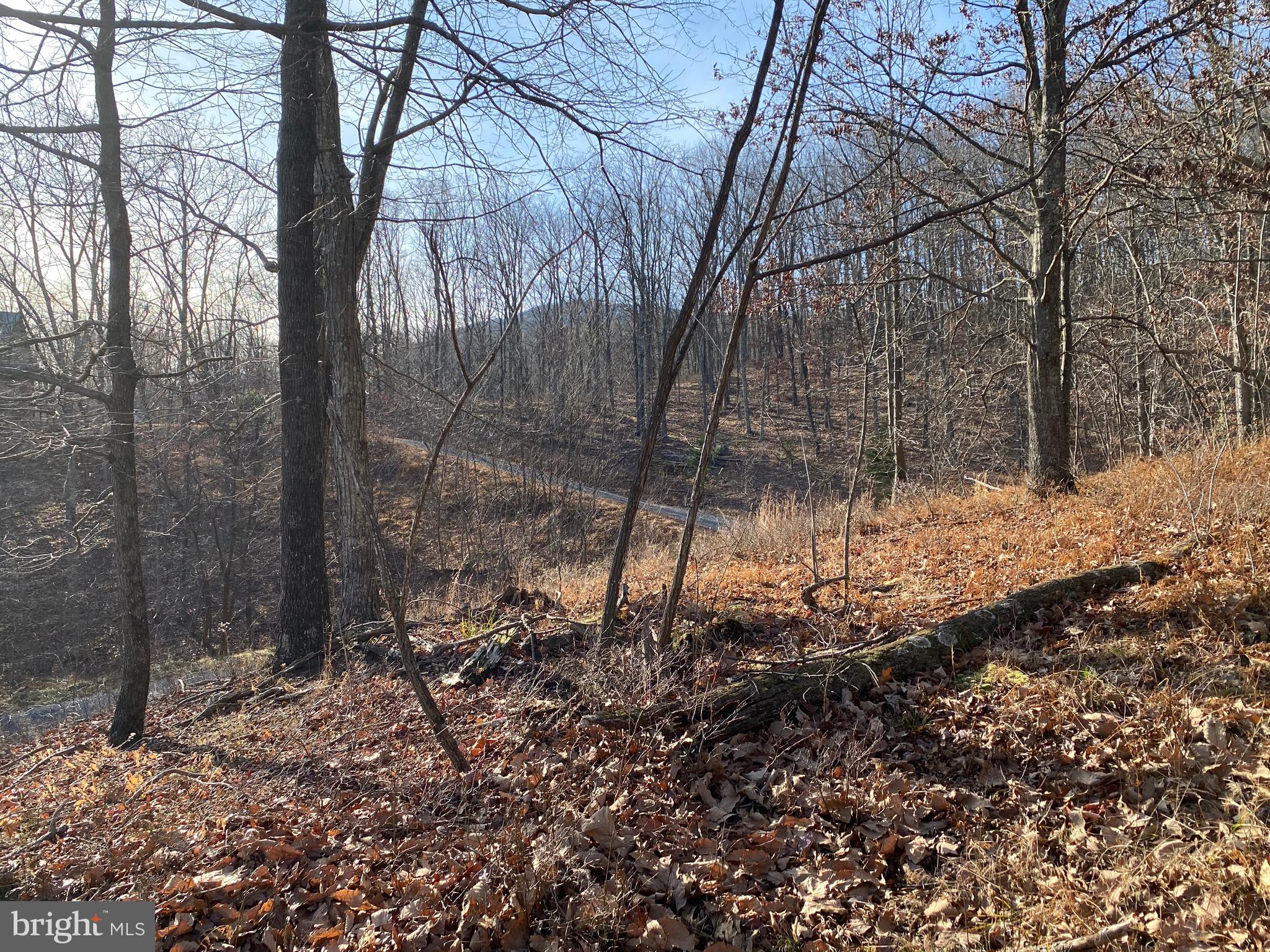 TROUT PASS PARK - Land