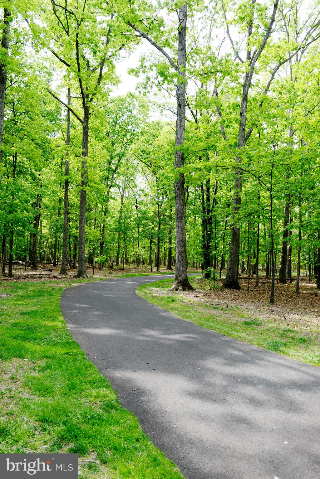 THE BROWNSTONES AT BRAMBLETON - Residential