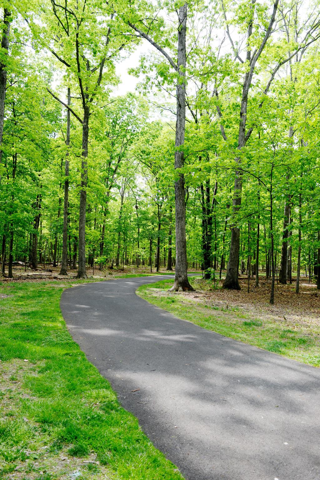 THE BROWNSTONES AT BRAMBLETON - Residential