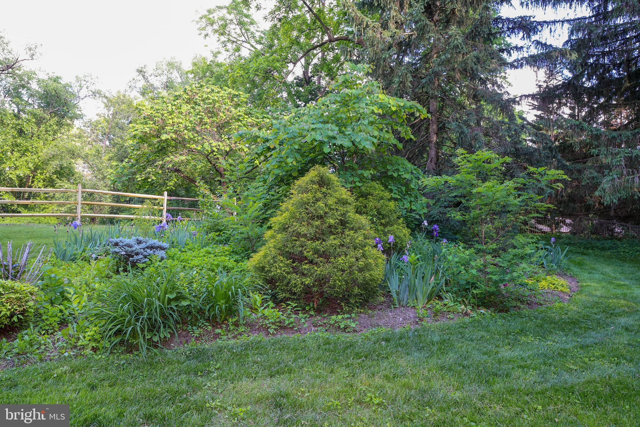 FOUNTAIN HEAD - Residential