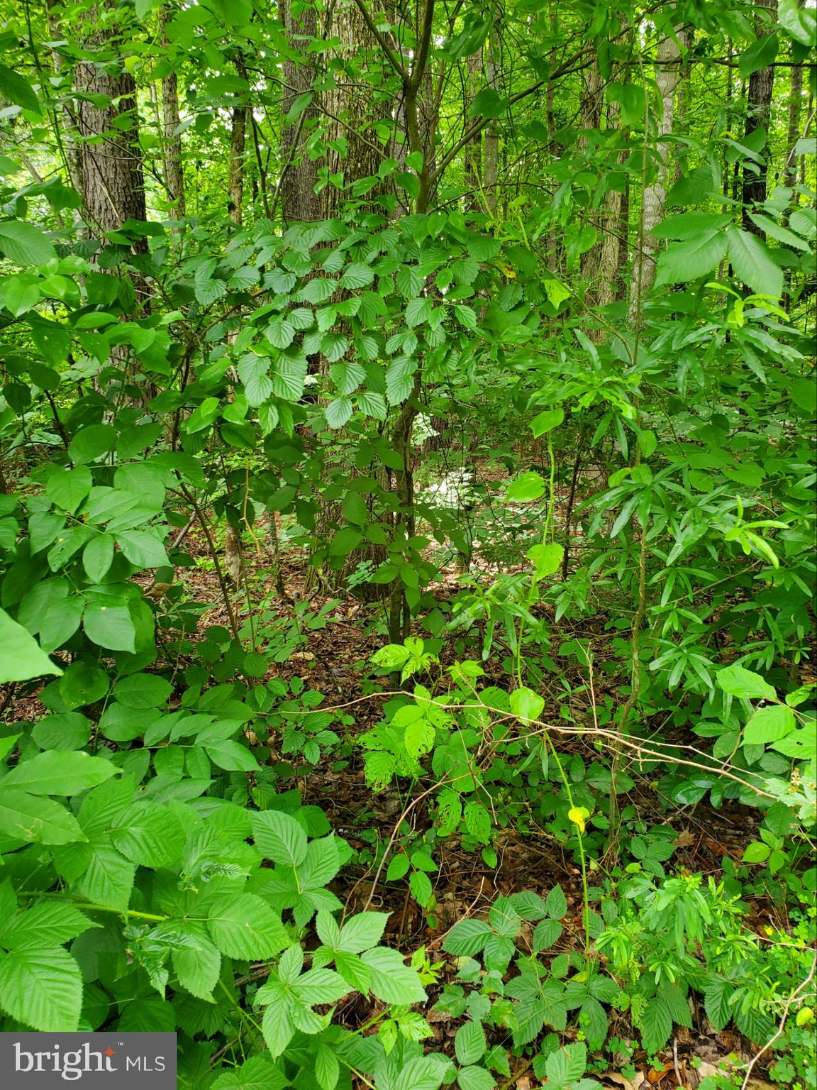 ROCKLAND CREEK ESTATES - Land