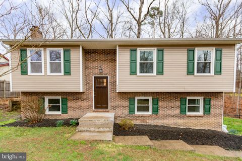 433 ALBANY STREET FREDERICKSBURG VA 22407