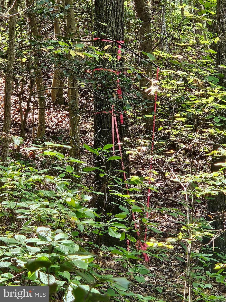 Located about 10 minutes from the Spotsylvania commuter train lot. Located about 2 miles from Newpost.  Fresh survey completed showing 4.277 +/- acres rather than 3.88 +/- acres. An easement will be granted for ingress and egress along the right boundary line of TM 8-2-28B. Soil work has been completed by M&M Soil Consultants. The easement survey and the soil work being survey located on the Purchaser's site plan will be at the purchaser's expense. The septic system construction permit or letter will be at the Purchaser's expense. The proposed conventional septic site is near the front right side of the lot currently. Purchaser can decide whether or not to move the Drain Field location.