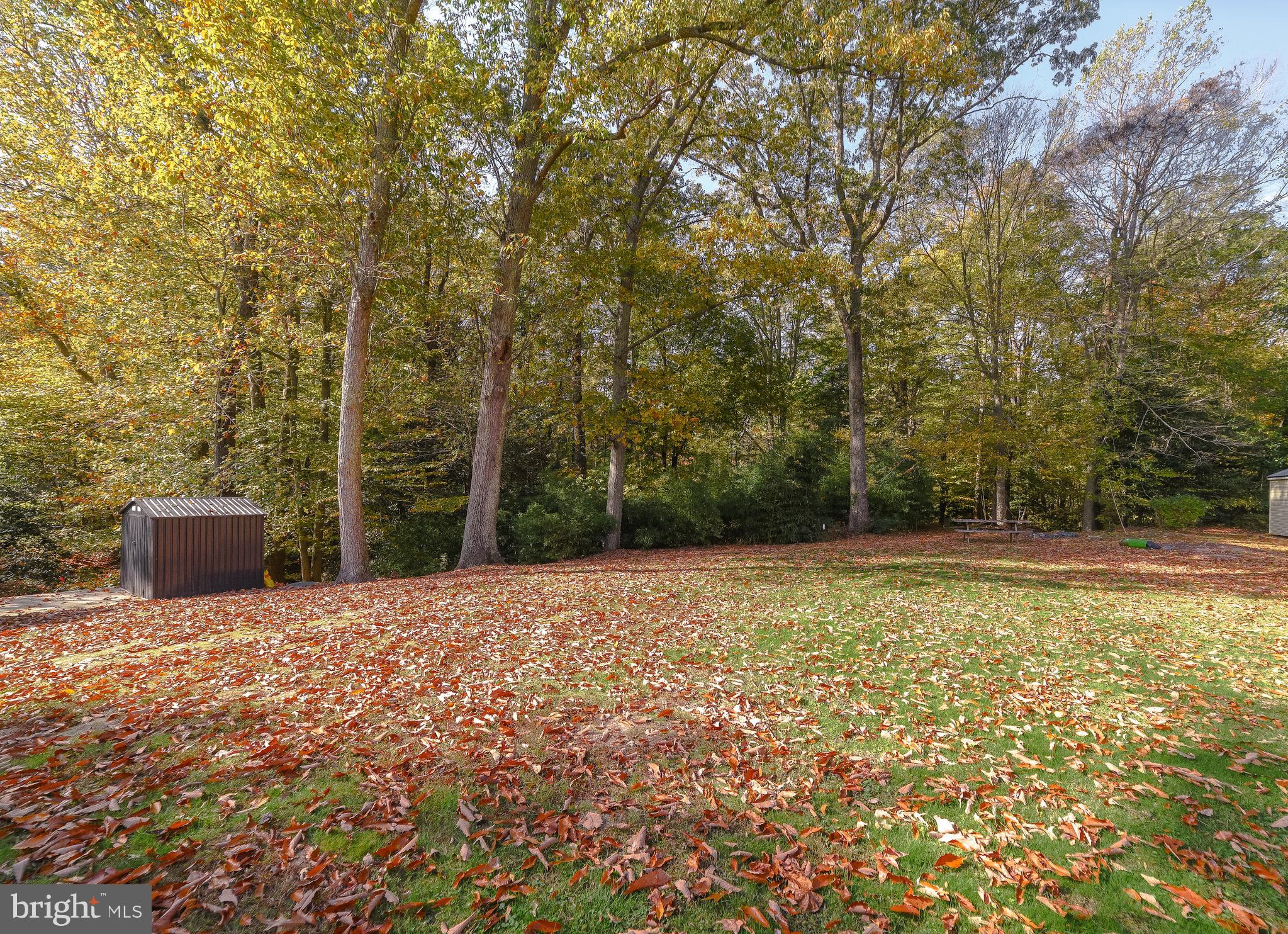 TOWN CREEK - Residential Lease