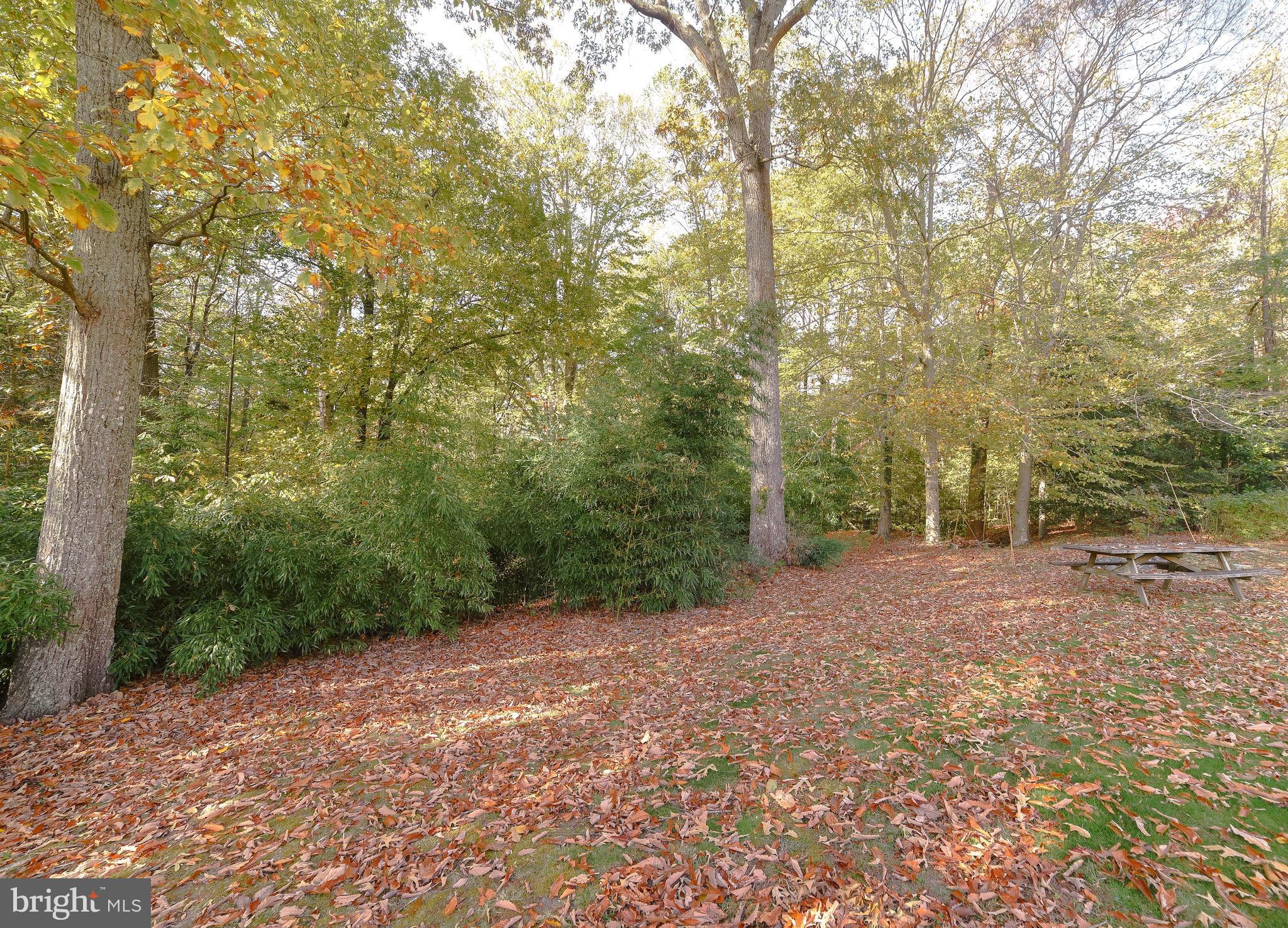 TOWN CREEK - Residential Lease