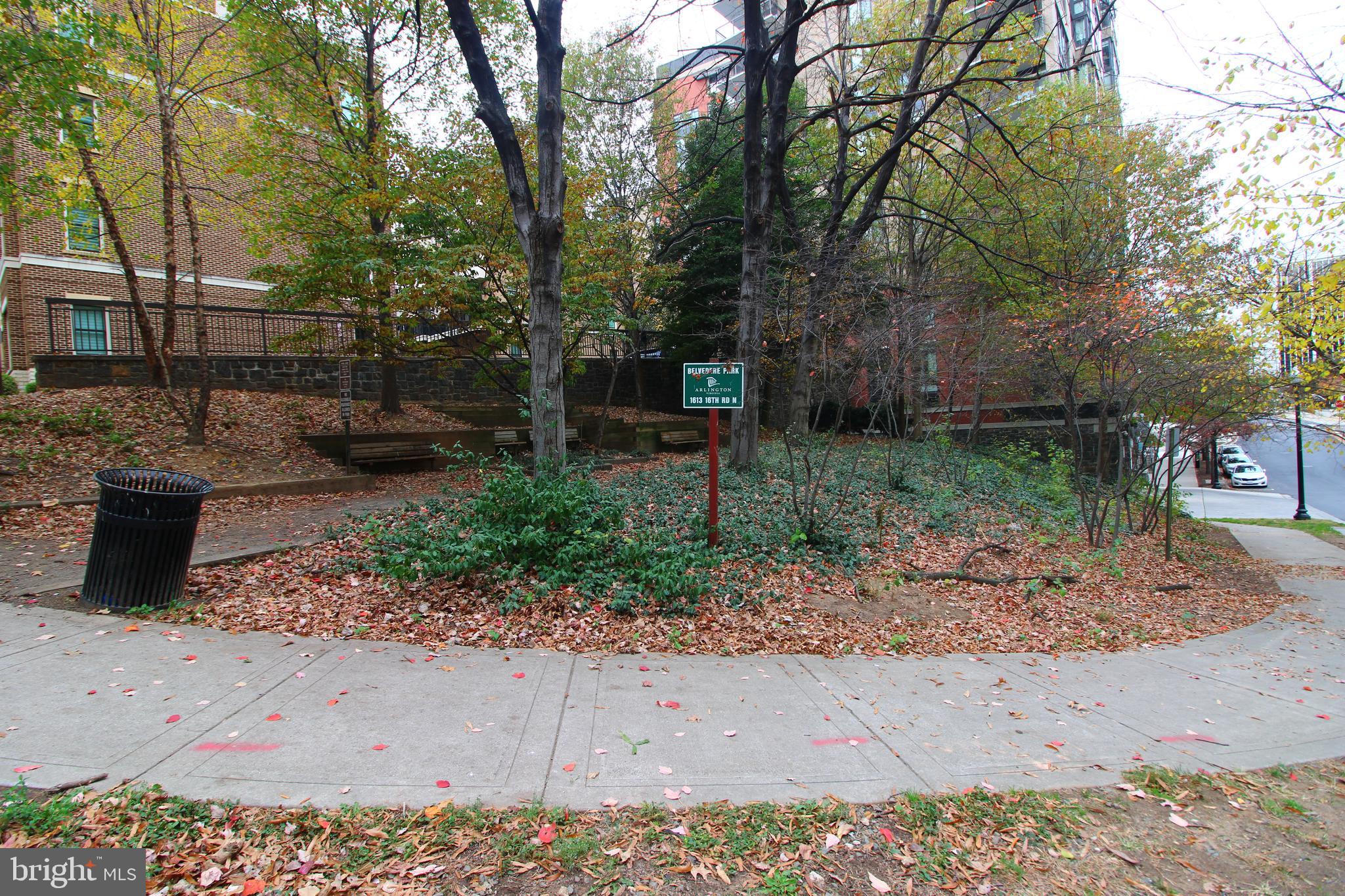 BELVEDERE - Residential Lease