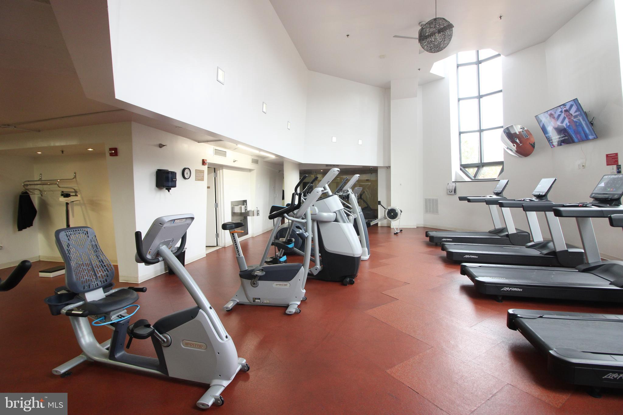 BELVEDERE - Residential Lease