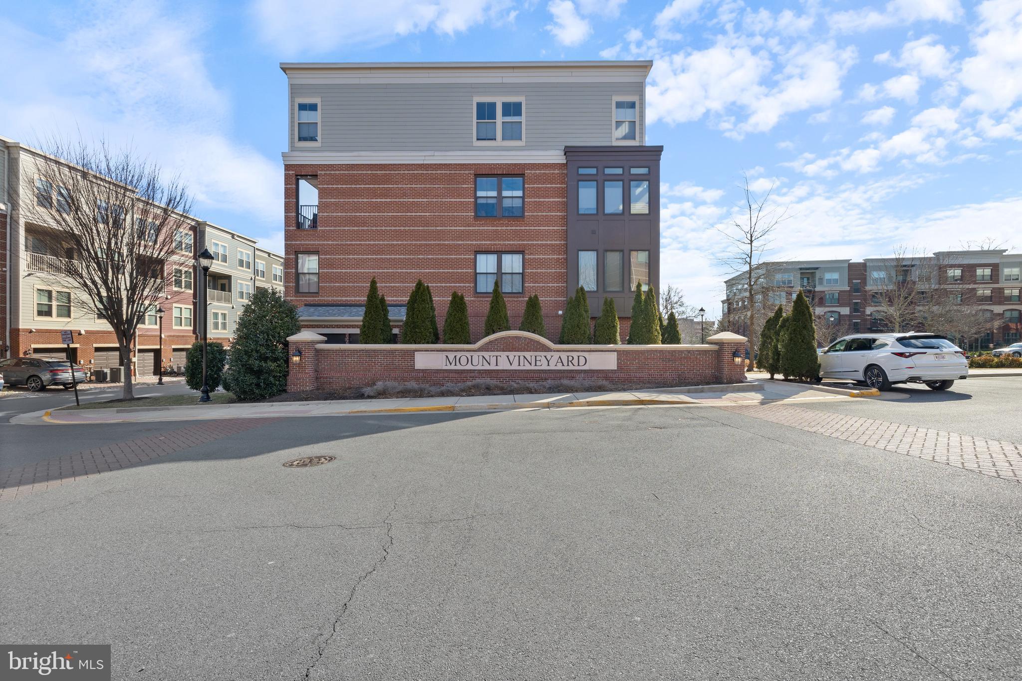 MOUNT VINEYARD - Residential