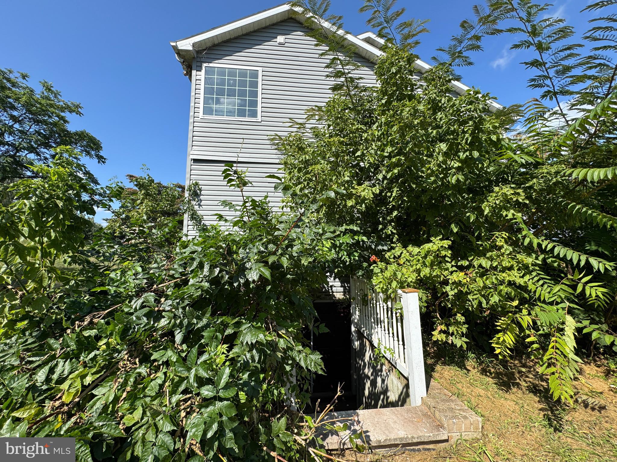 9161 APPLE JACK DRIVE