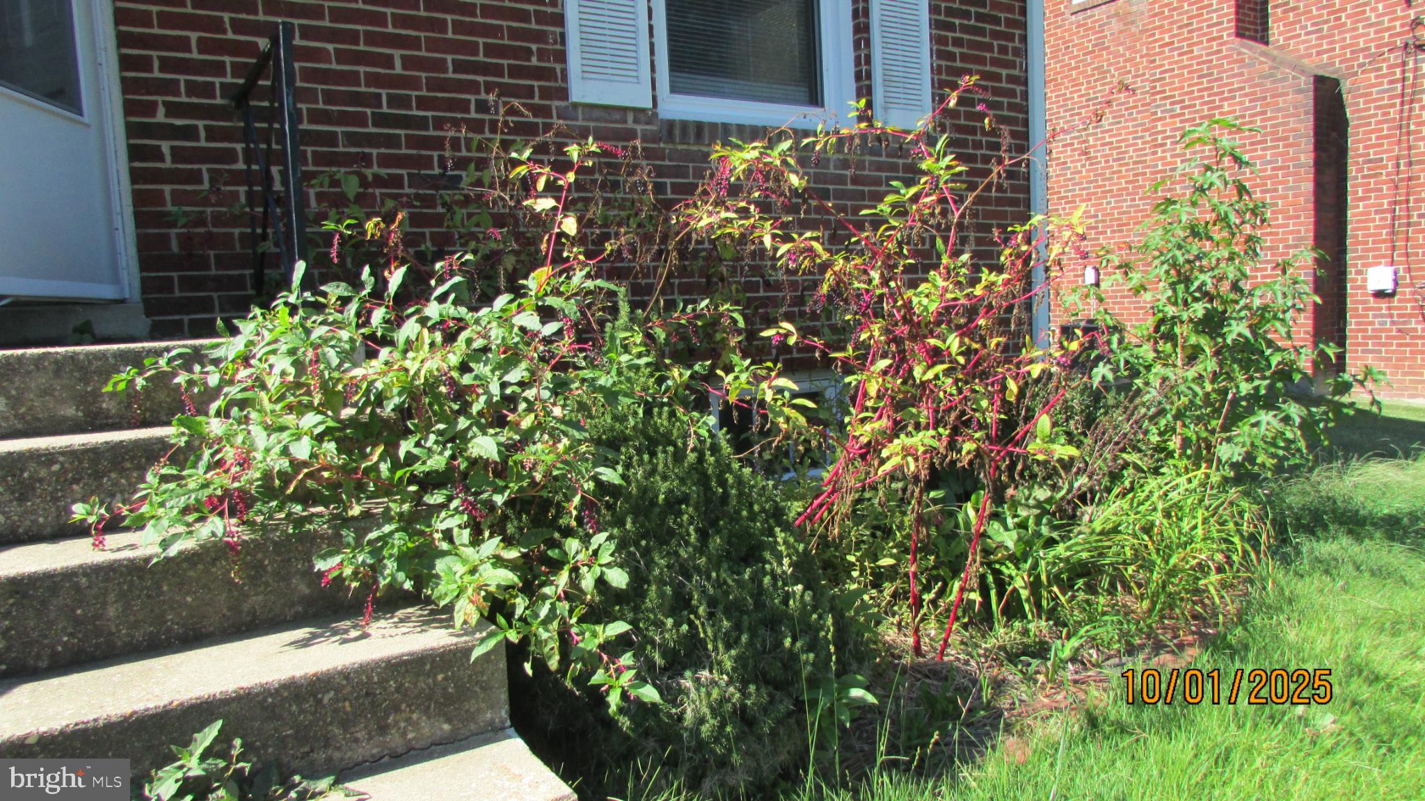 BERWYN ADDN - Residential