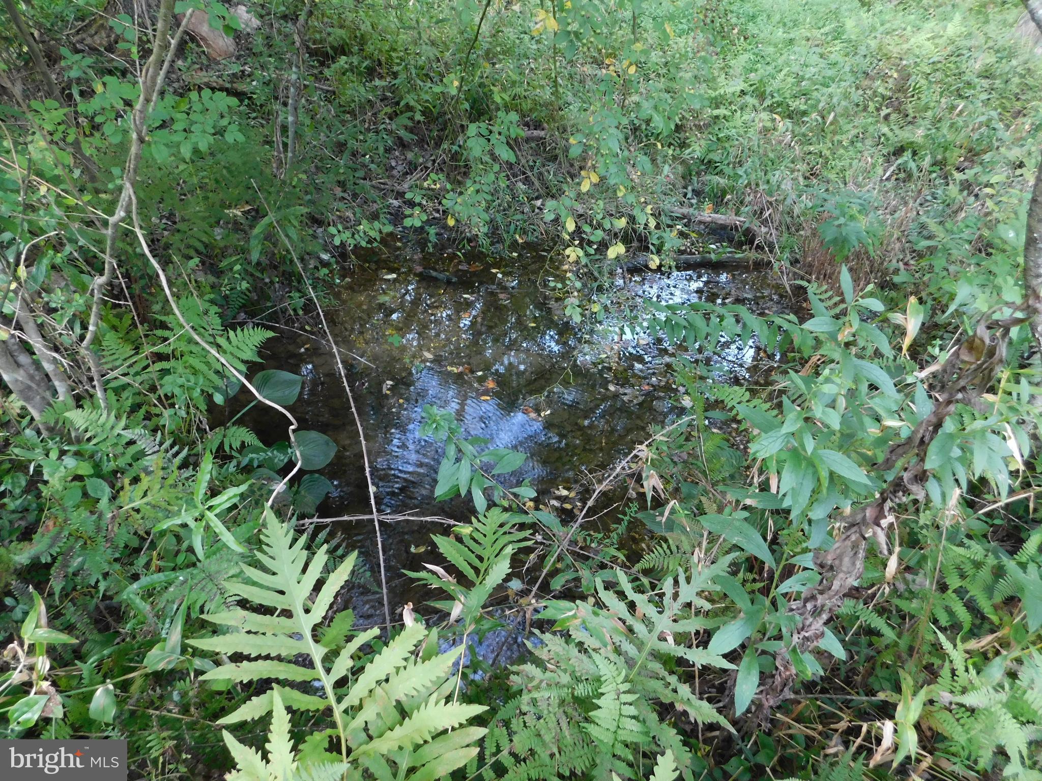 OAKWOOD LAKE ESTATES - Residential