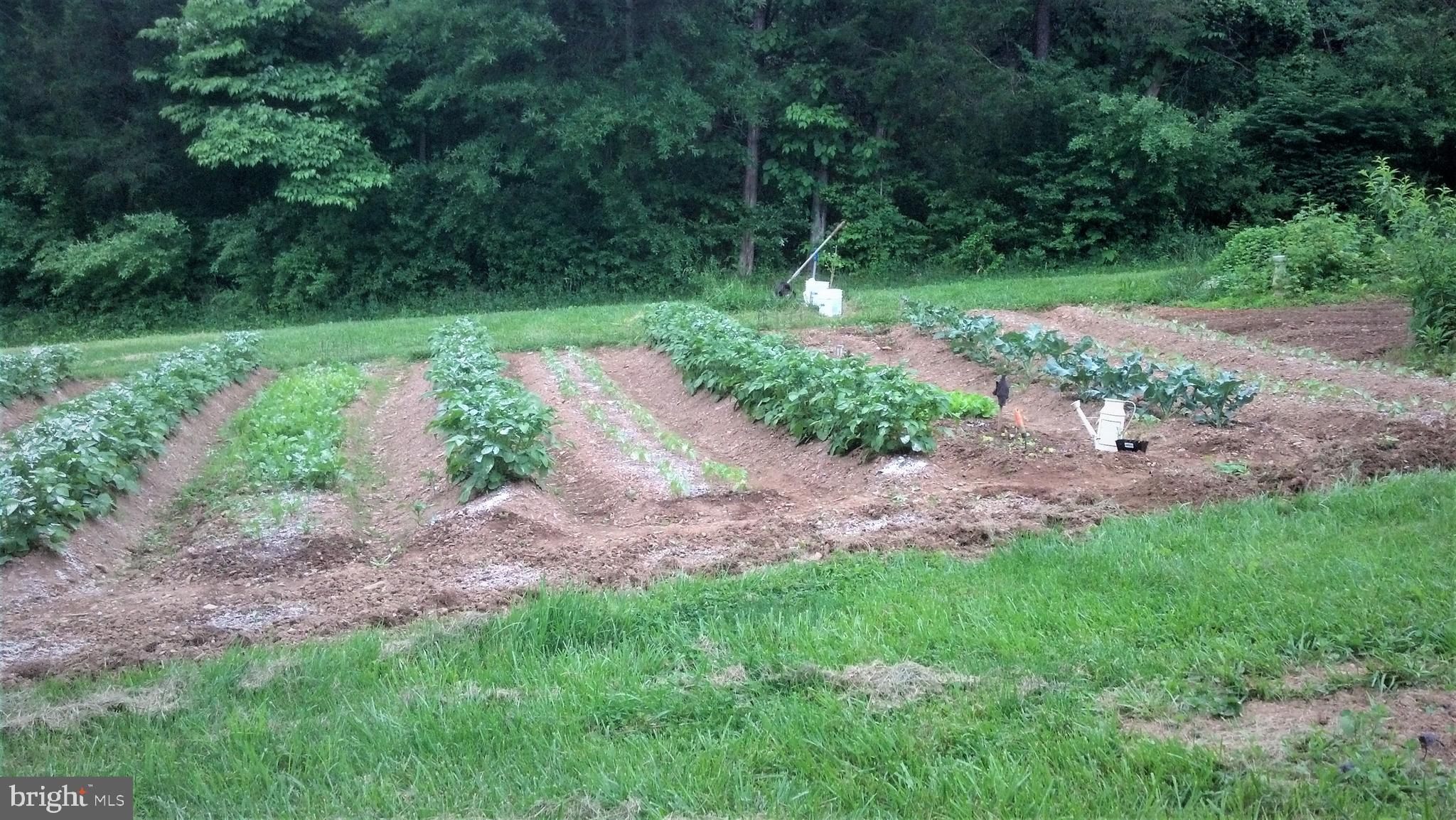 OAKWOOD LAKE ESTATES - Residential