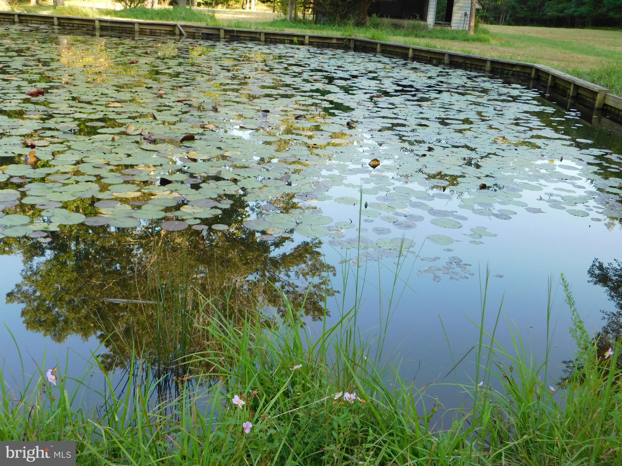 OAKWOOD LAKE ESTATES - Residential