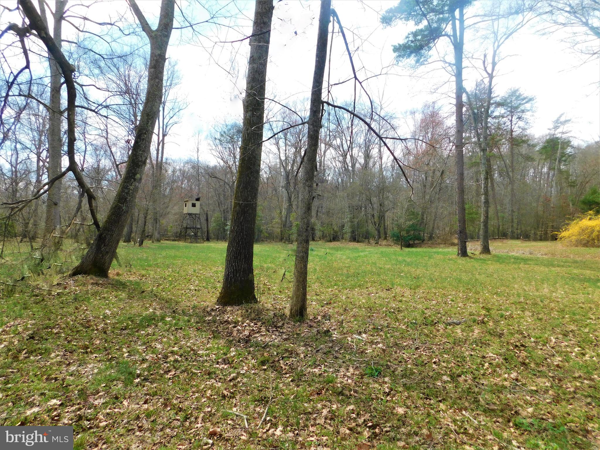 OAKWOOD LAKE ESTATES - Residential