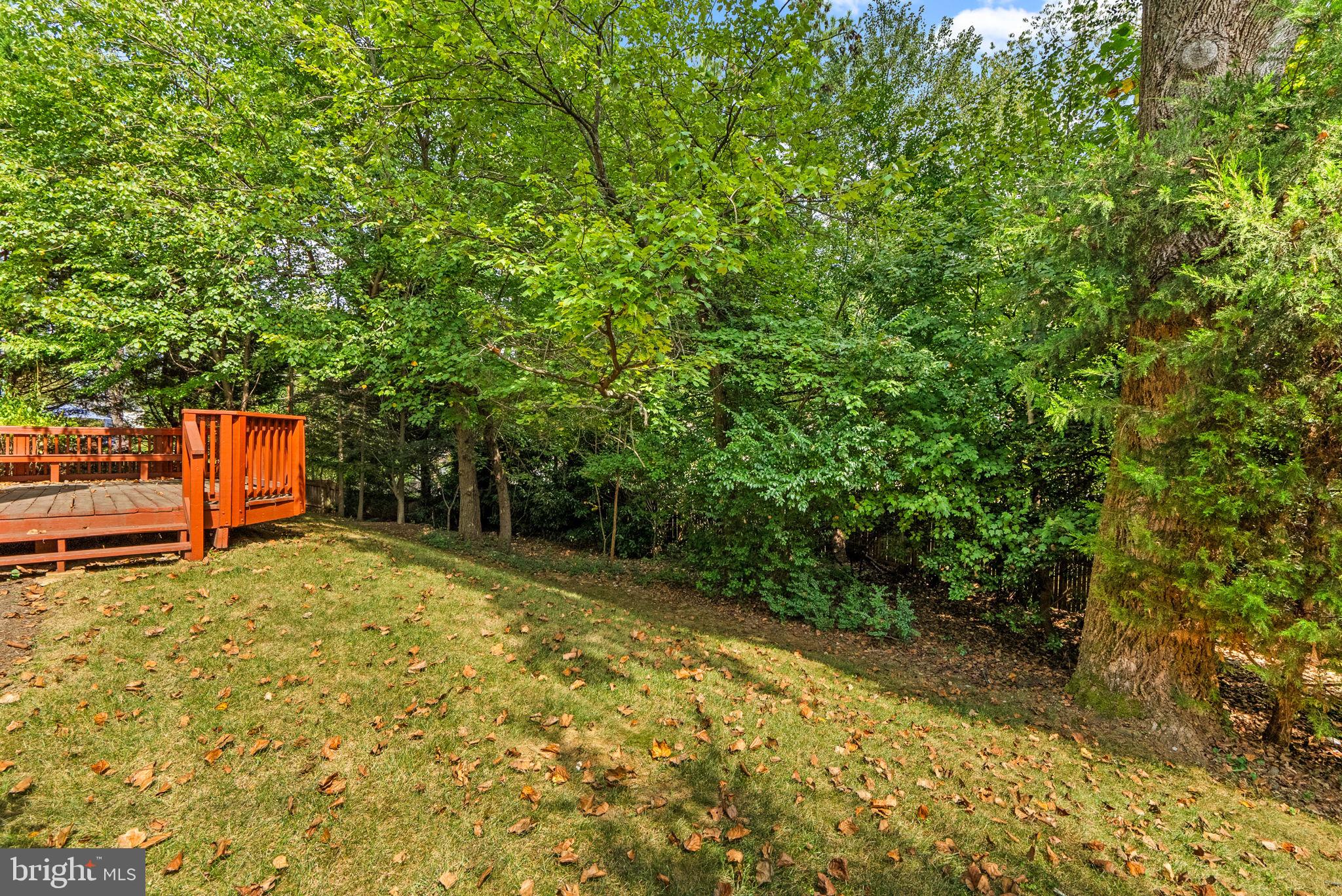 FOX HILLS - Residential