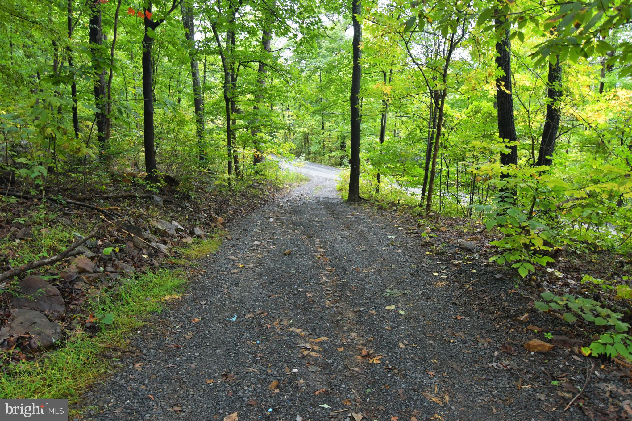 GLENWOOD FOREST - Residential