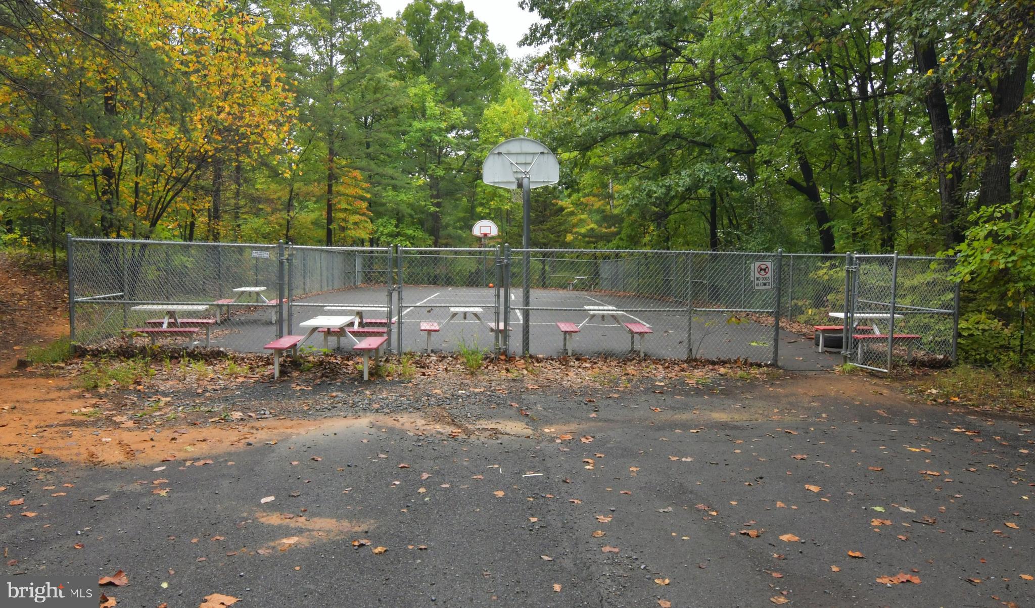 GLENWOOD FOREST - Residential