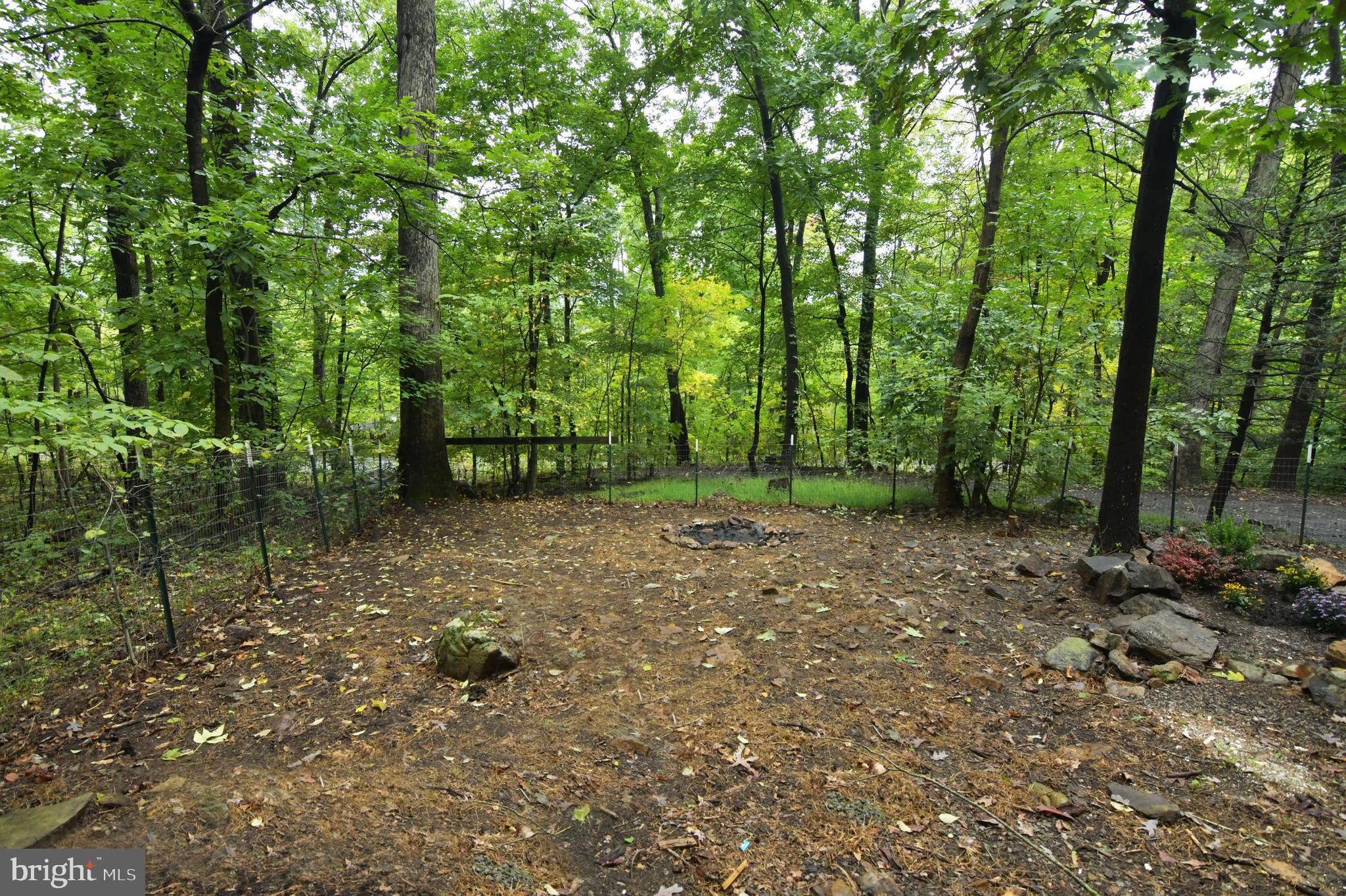 GLENWOOD FOREST - Residential