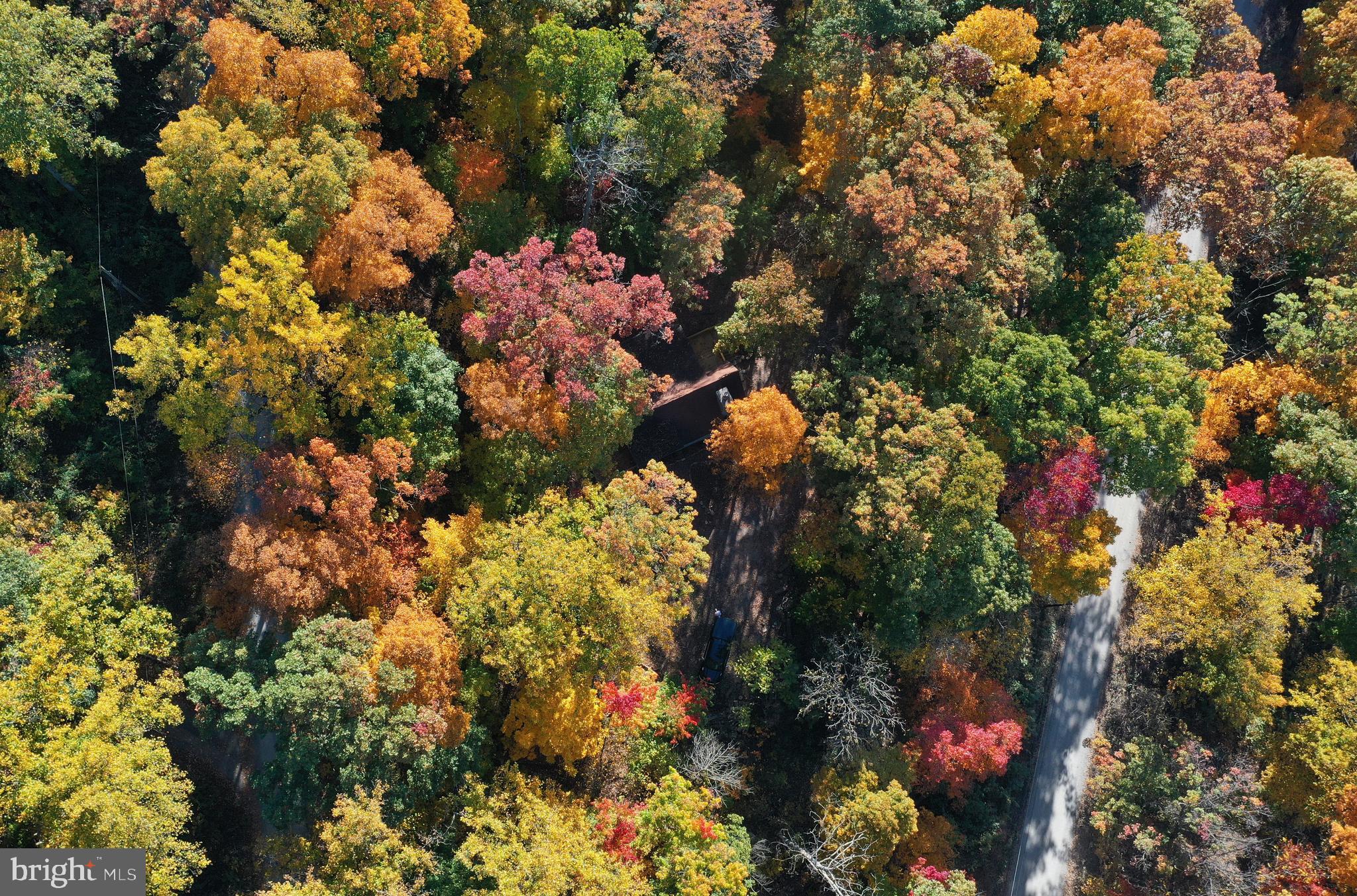 GLENWOOD FOREST - Residential