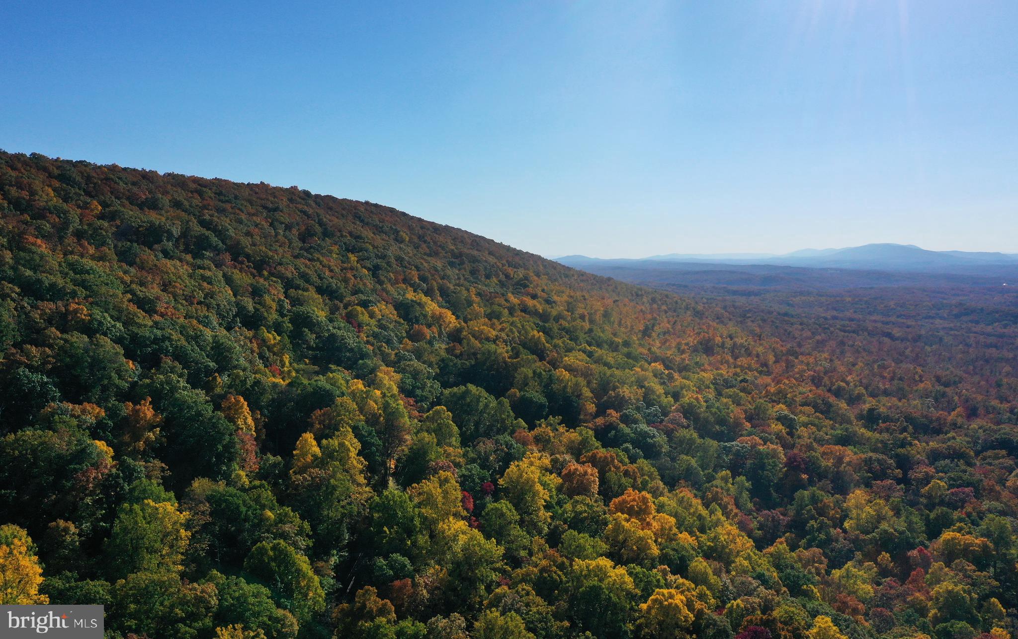 GLENWOOD FOREST - Residential