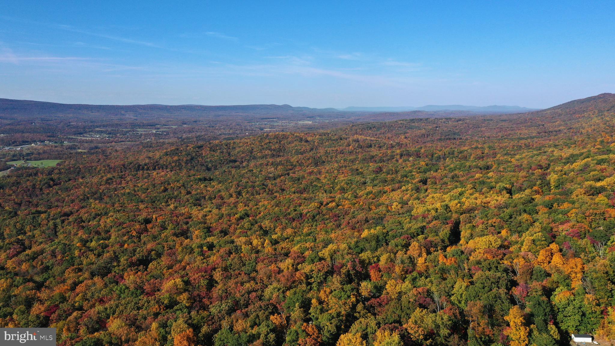 GLENWOOD FOREST - Residential