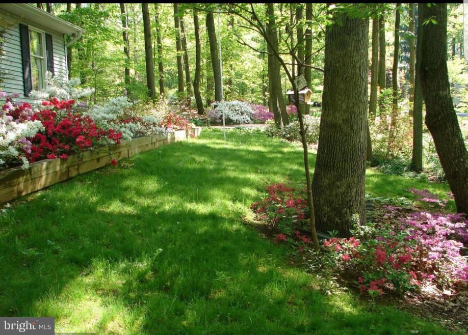 SHERWOOD FOREST - Residential