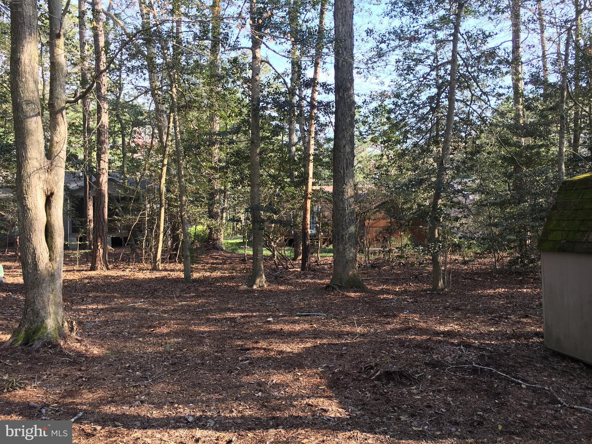 OCEAN PINES - BAINBRIDGE - Residential